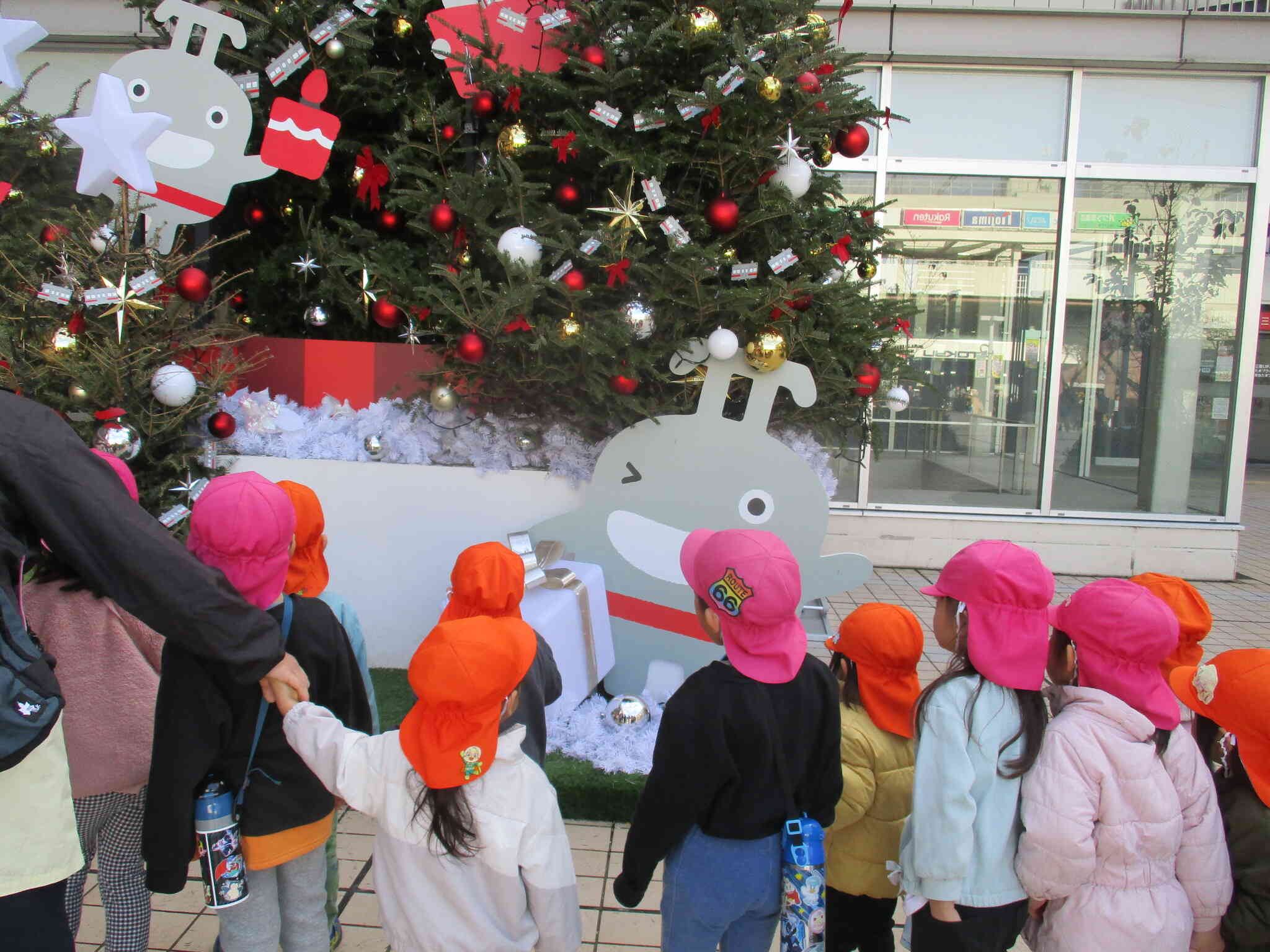 クリスマスツリーを見に行ったよ☆