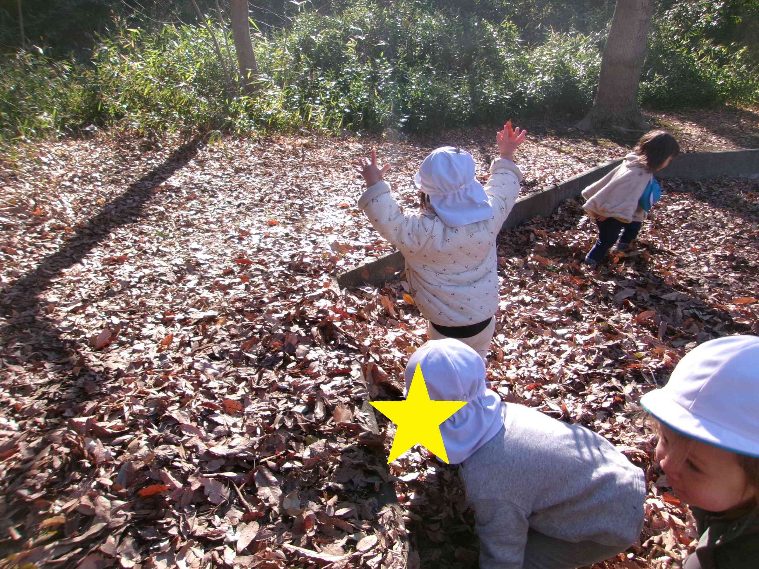 落ち葉もどんぐりもたくさん♪