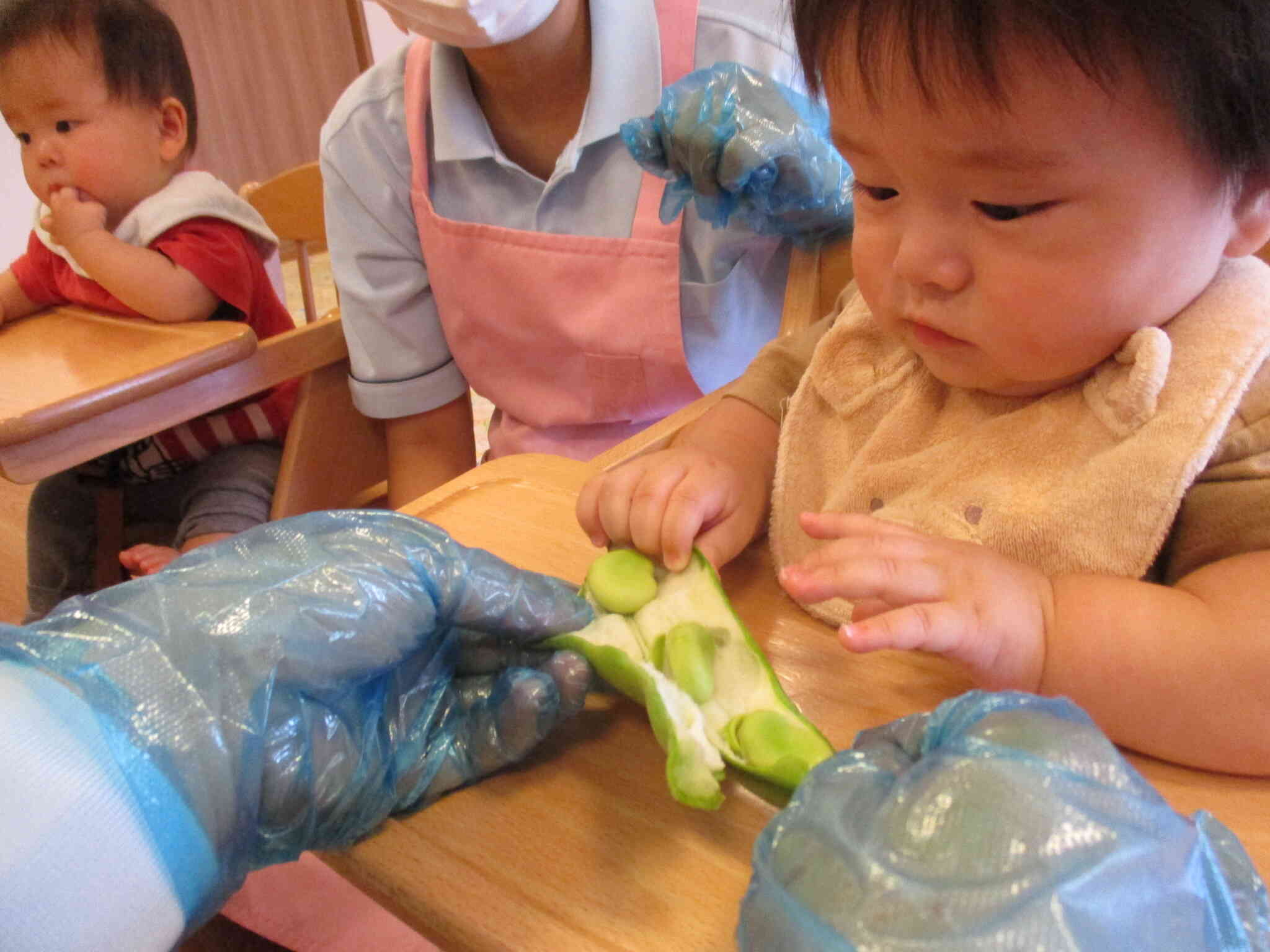 ０歳児クラス　ひよこ組　食育『そら豆』
