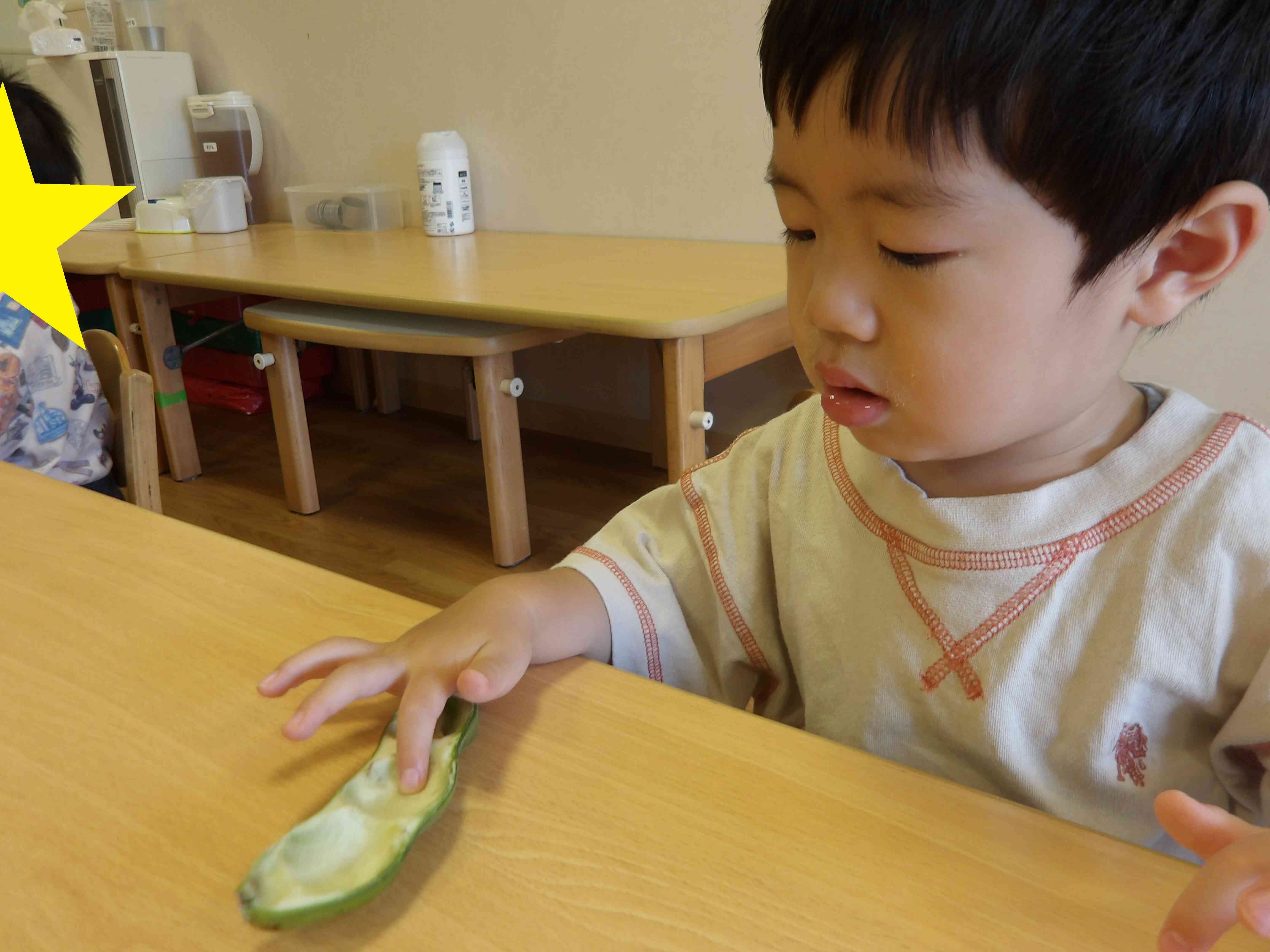 １歳児クラス　あひる組　そら豆の観察
