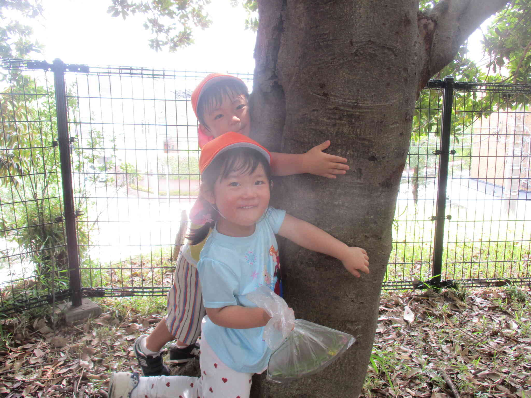 ３歳児　りす組　公園で探索