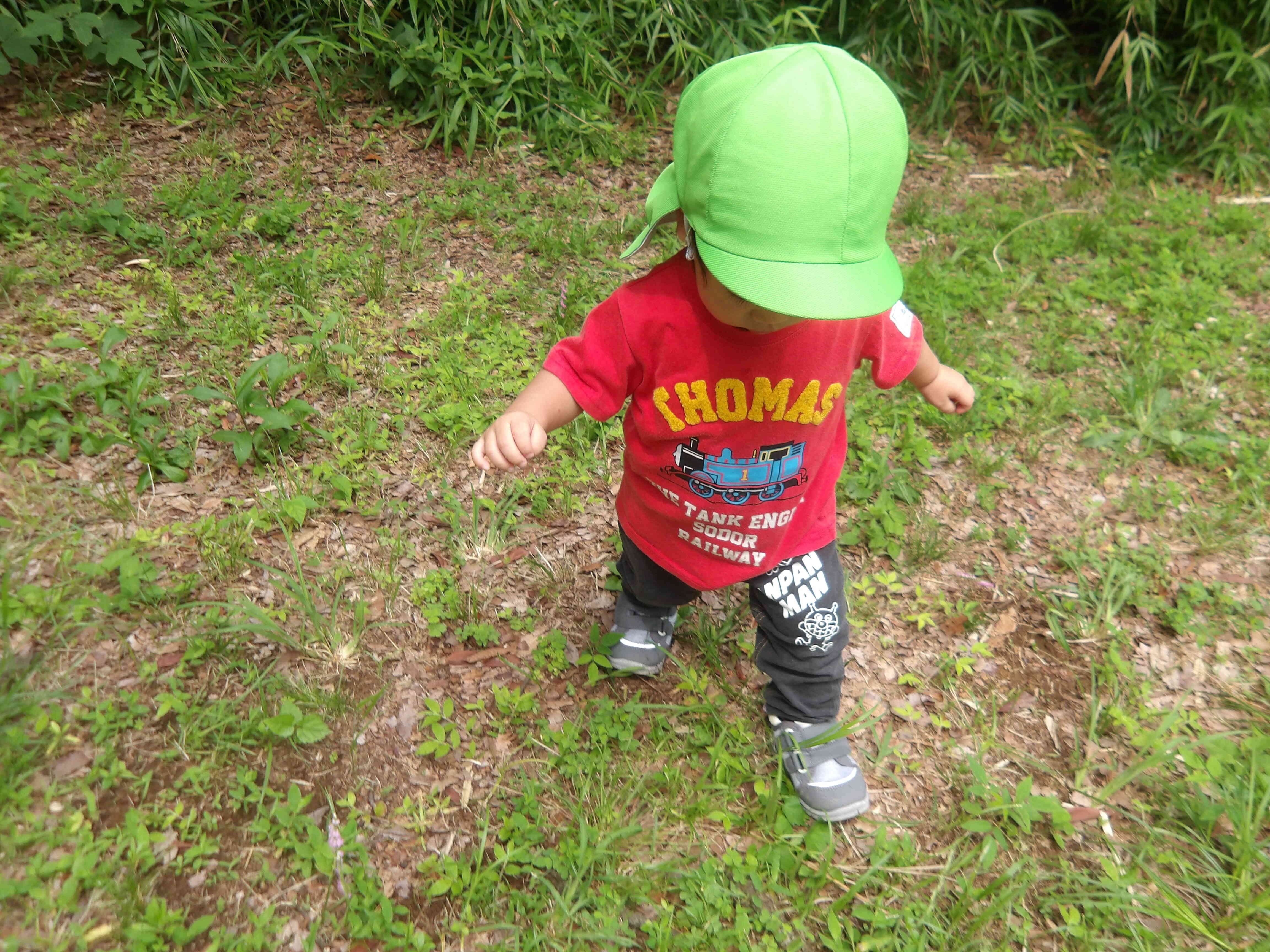 1歳児クラス　あひる組　公園探索