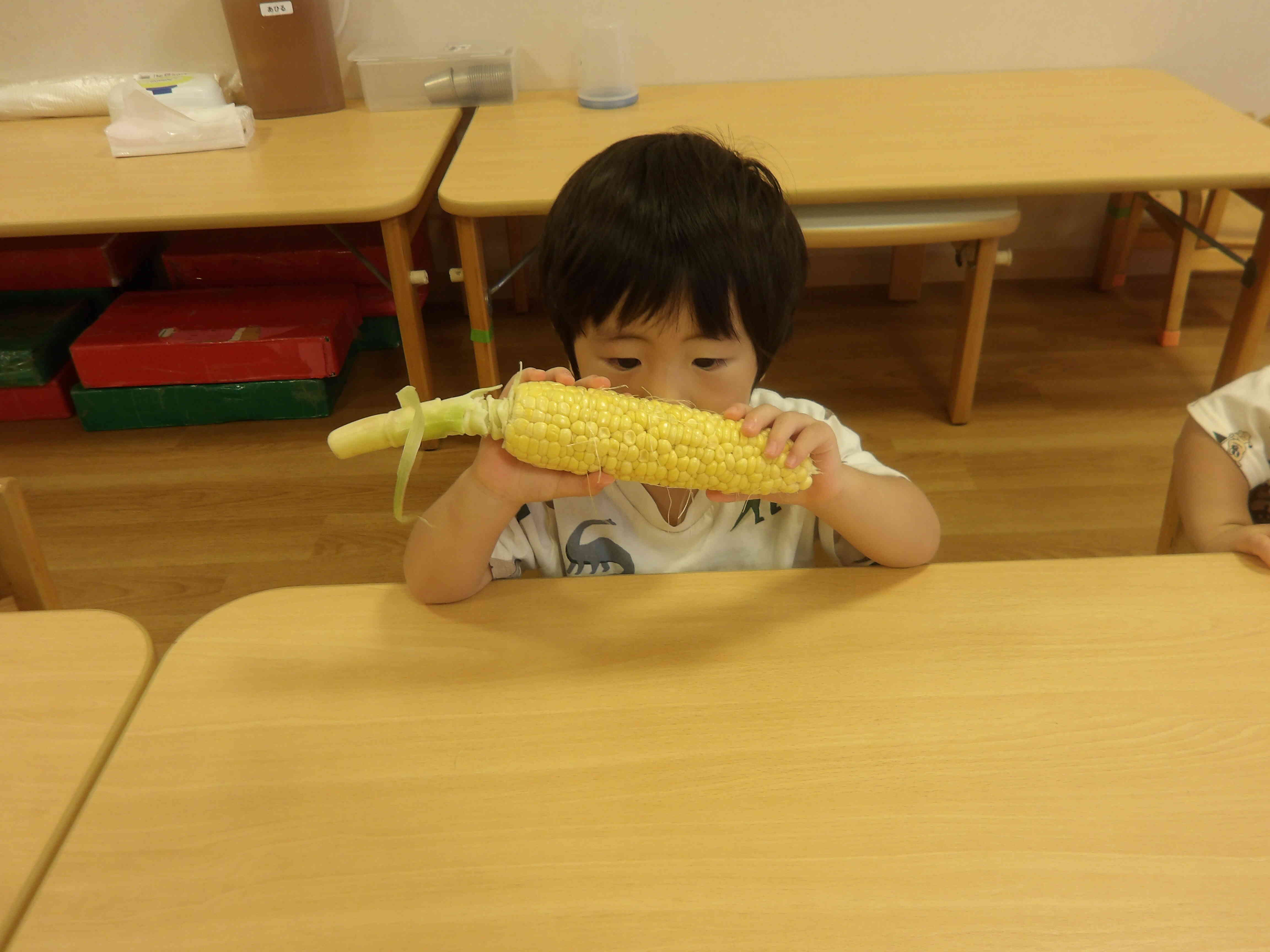 １歳児クラス　あひる組　とうもろこしの皮むき