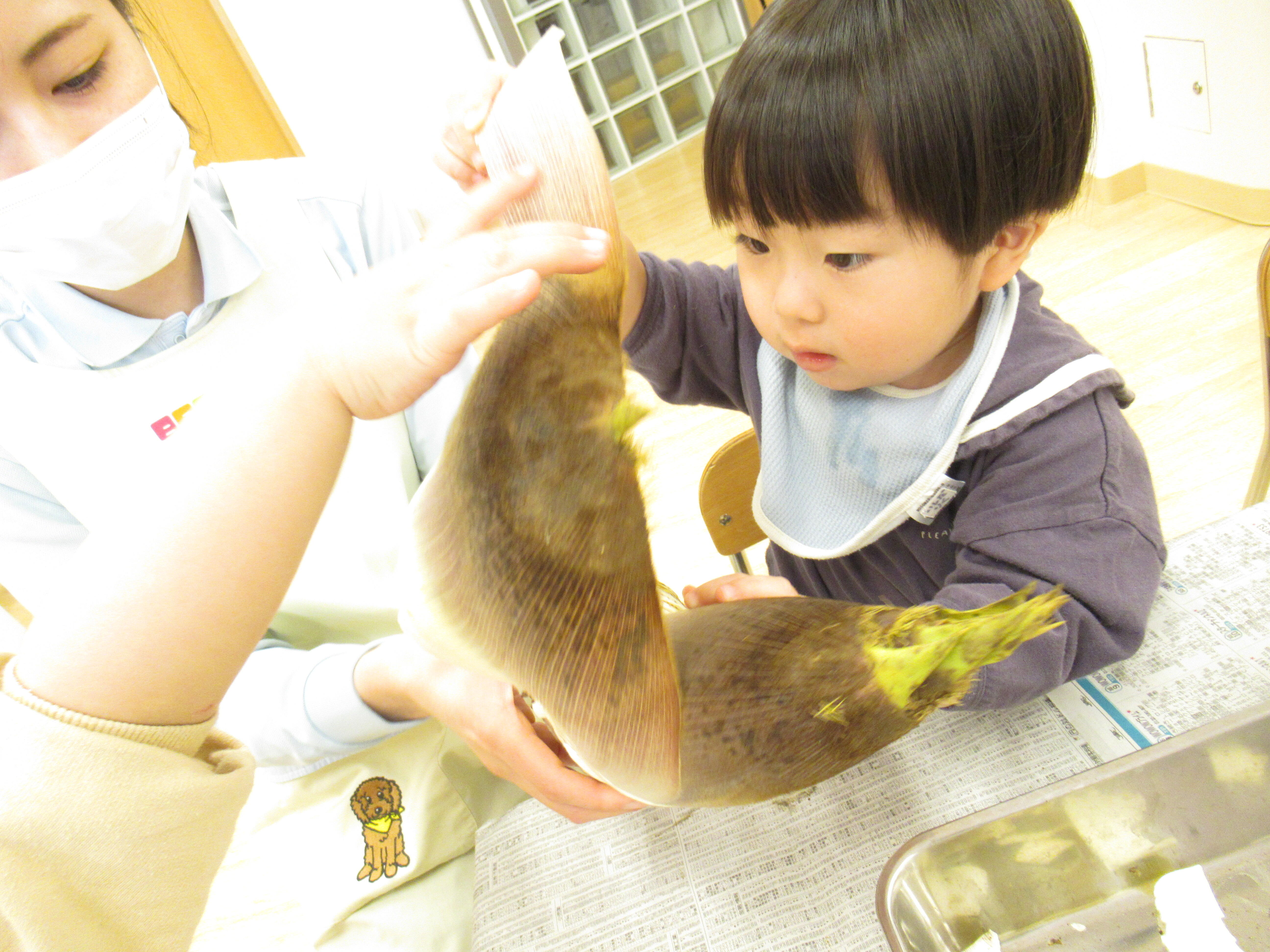 4月の食育活動「たけのこ」｜ニチイキッズわかみや保育園｜ニチイキッズ