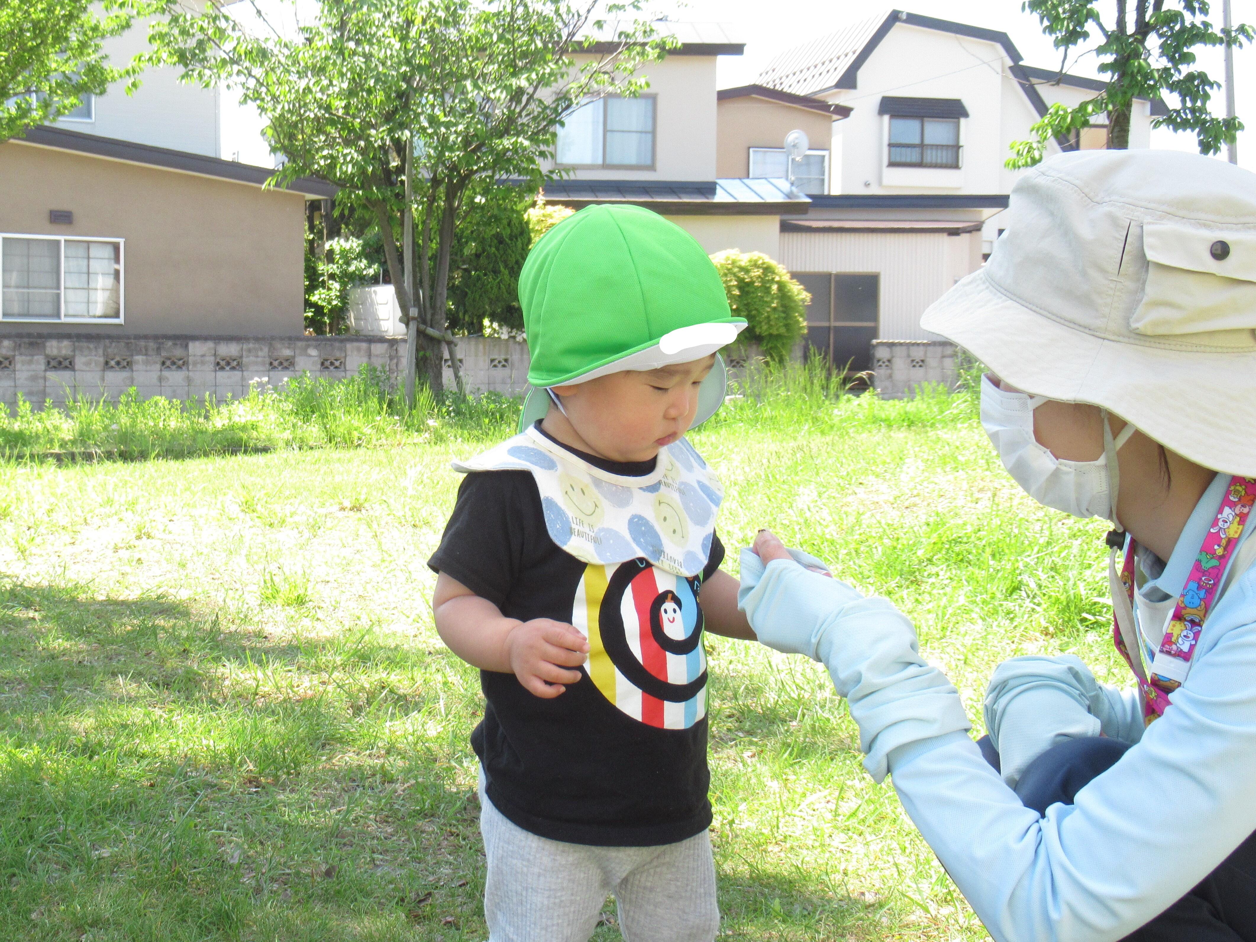 これなんだろう
