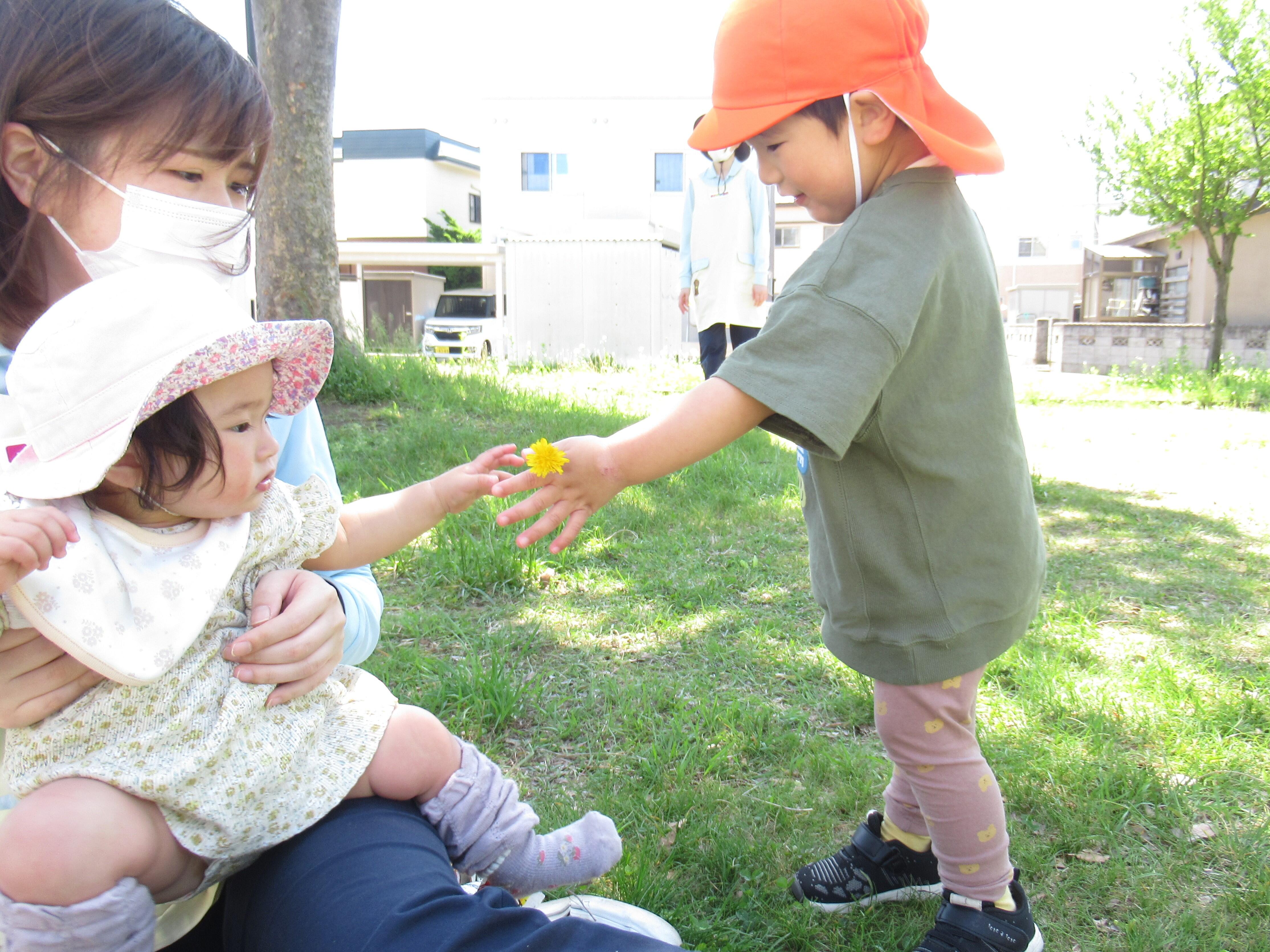 タンポポのプレゼント