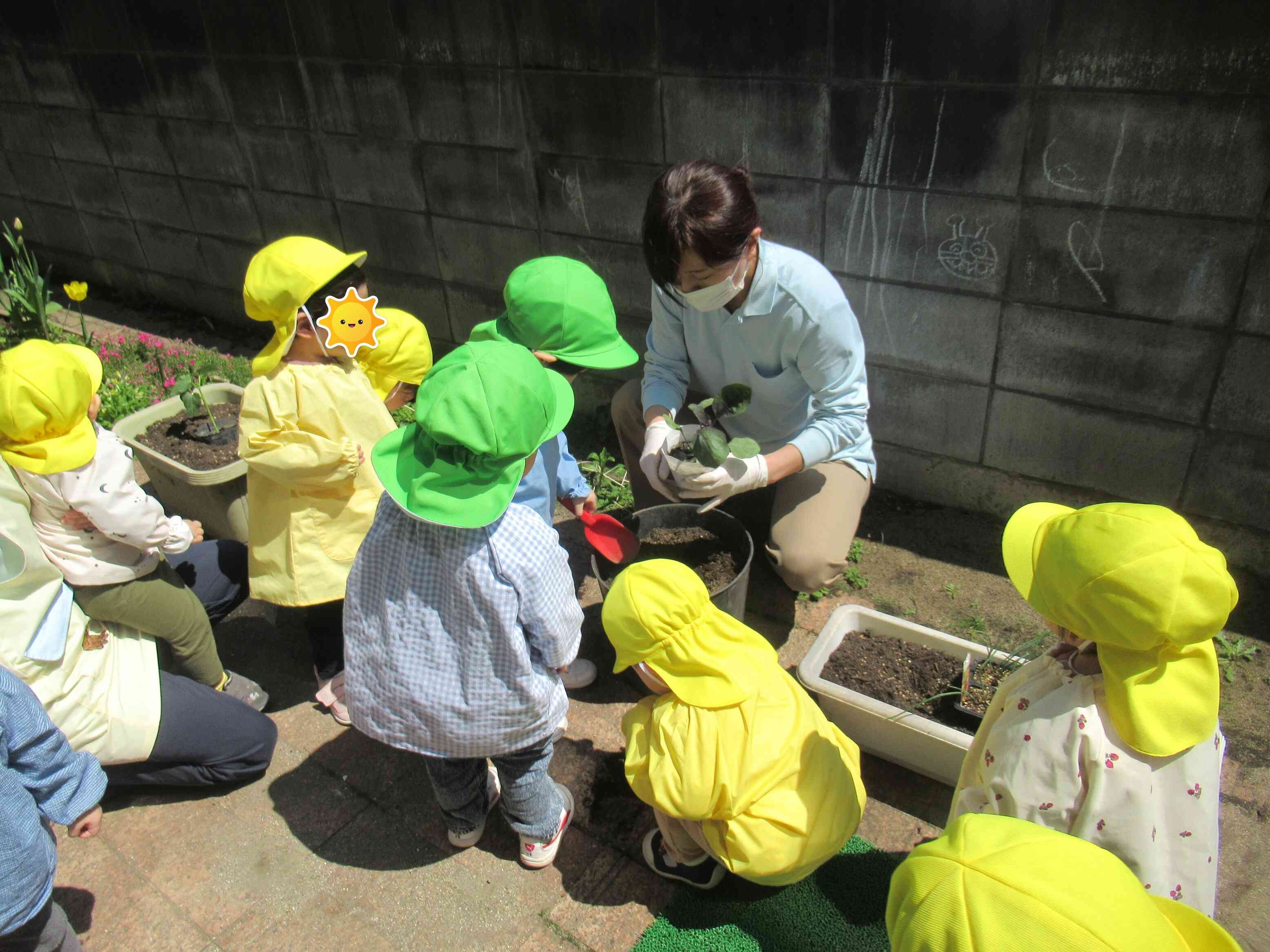 野菜を植えよう!