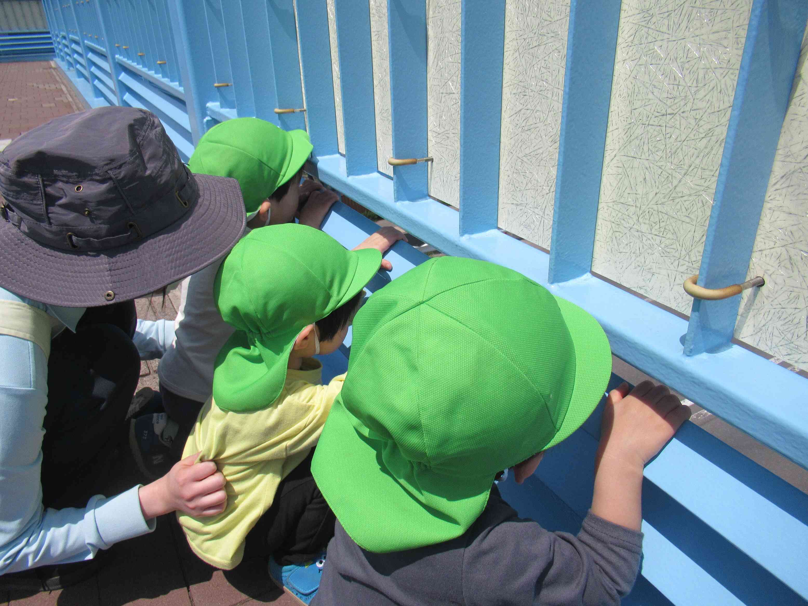 いつまでも見ていたい子ども達です。
