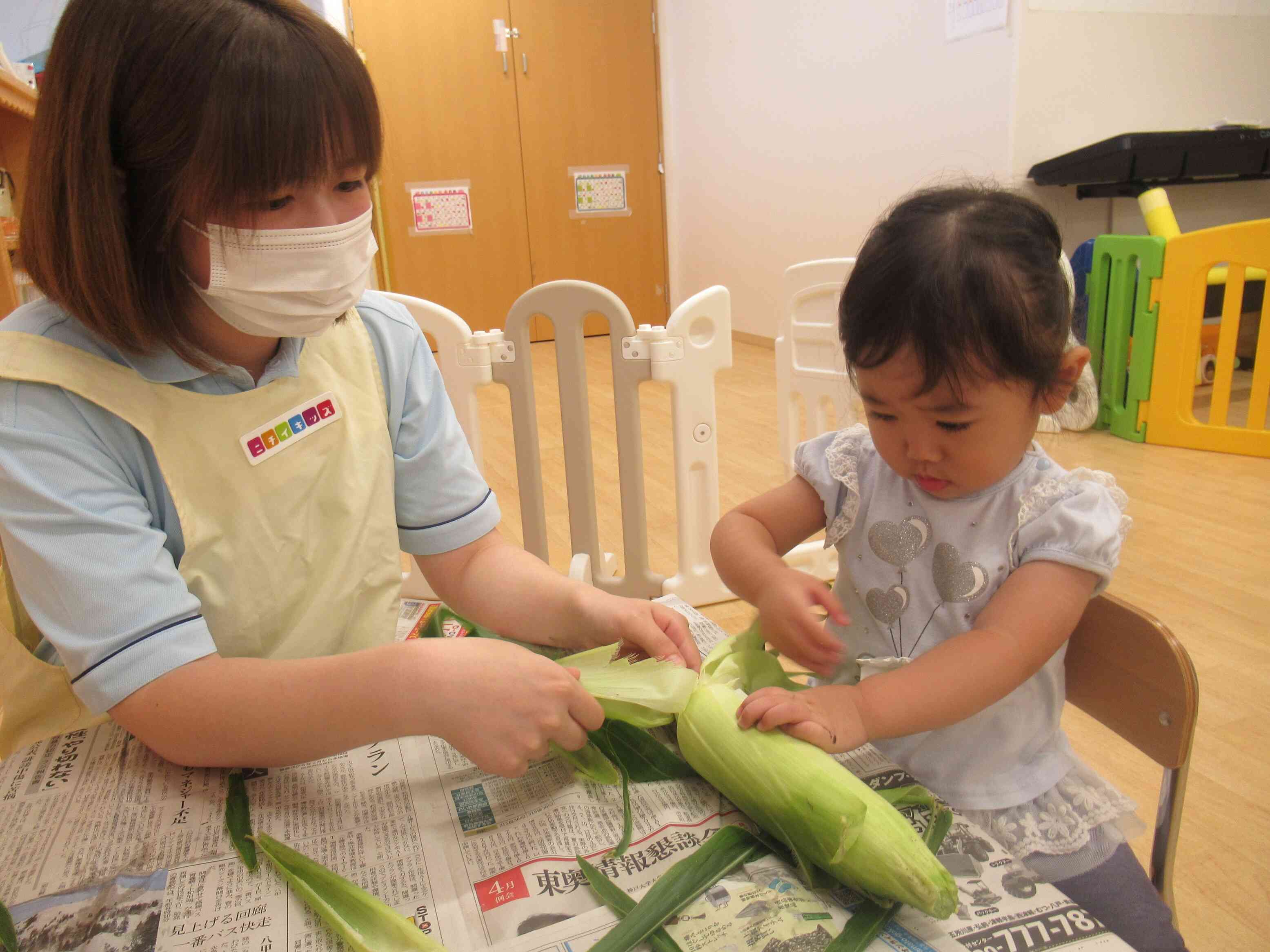 夏の食育「とうもろこし」