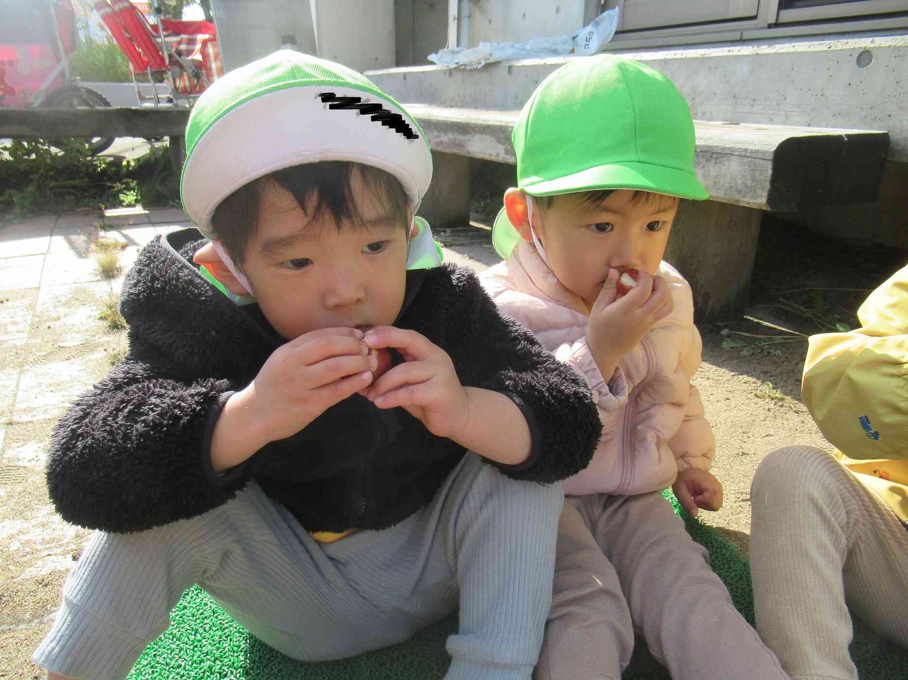 球根のにおいをかいでみよう。