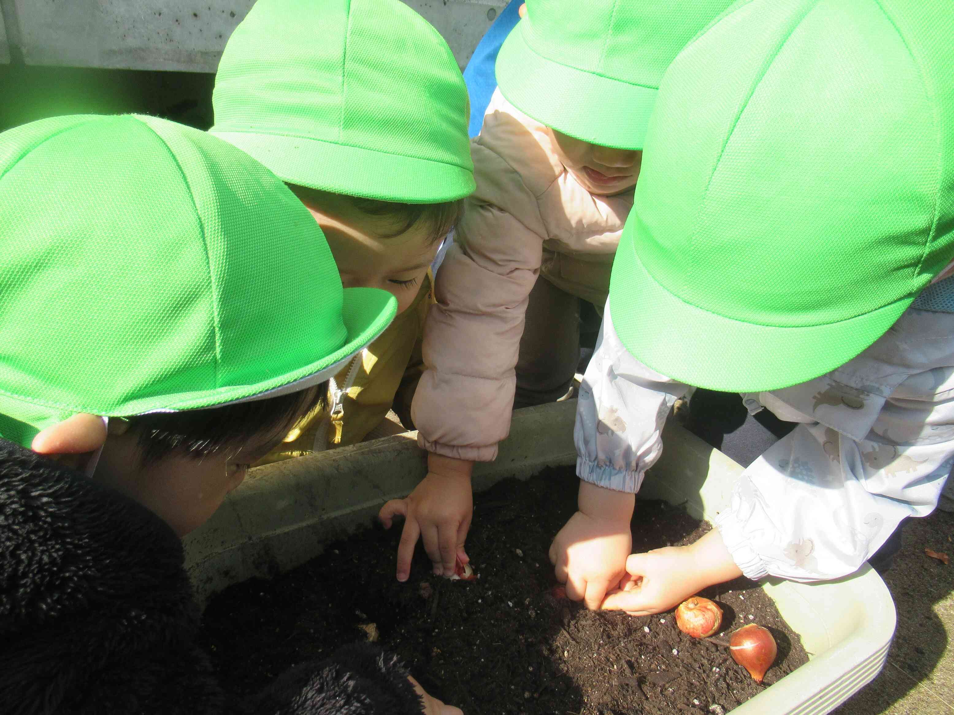 土の中でおやすみなさい