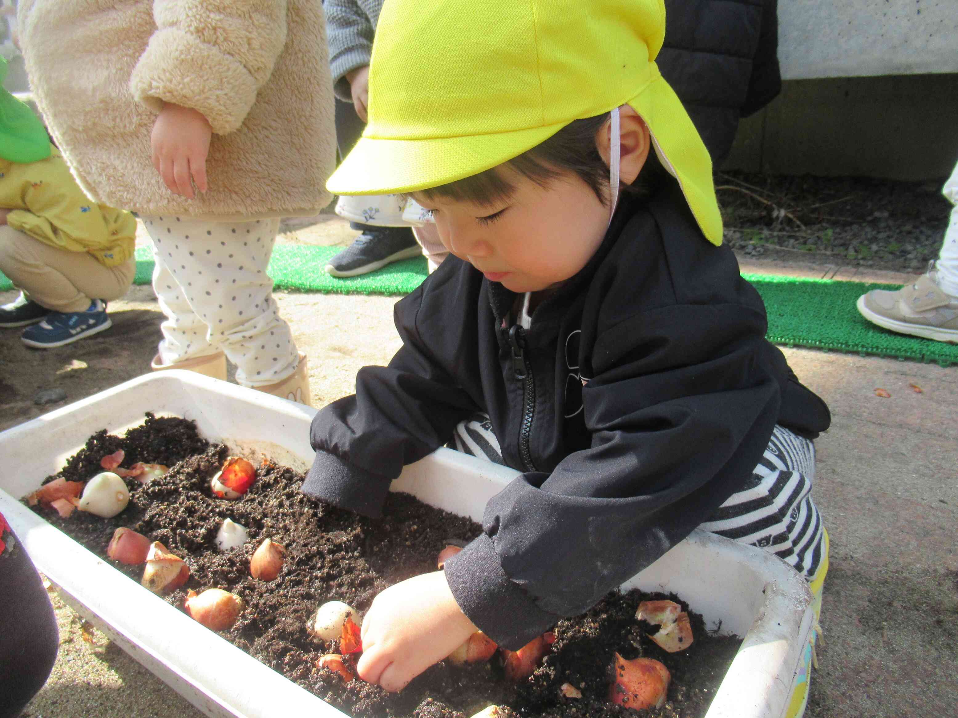 たくさんあるね！