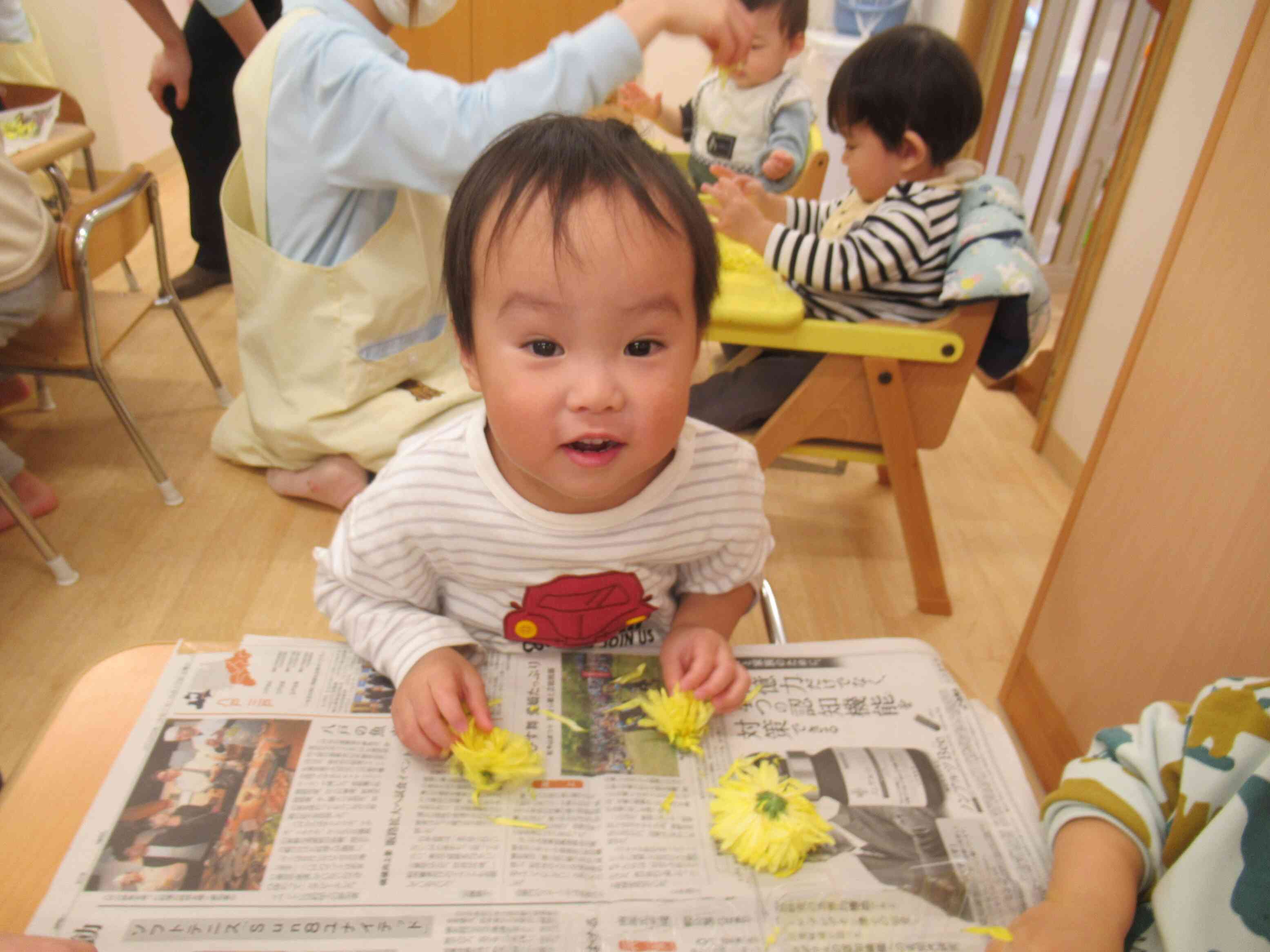 食育「さつまいもと菊」