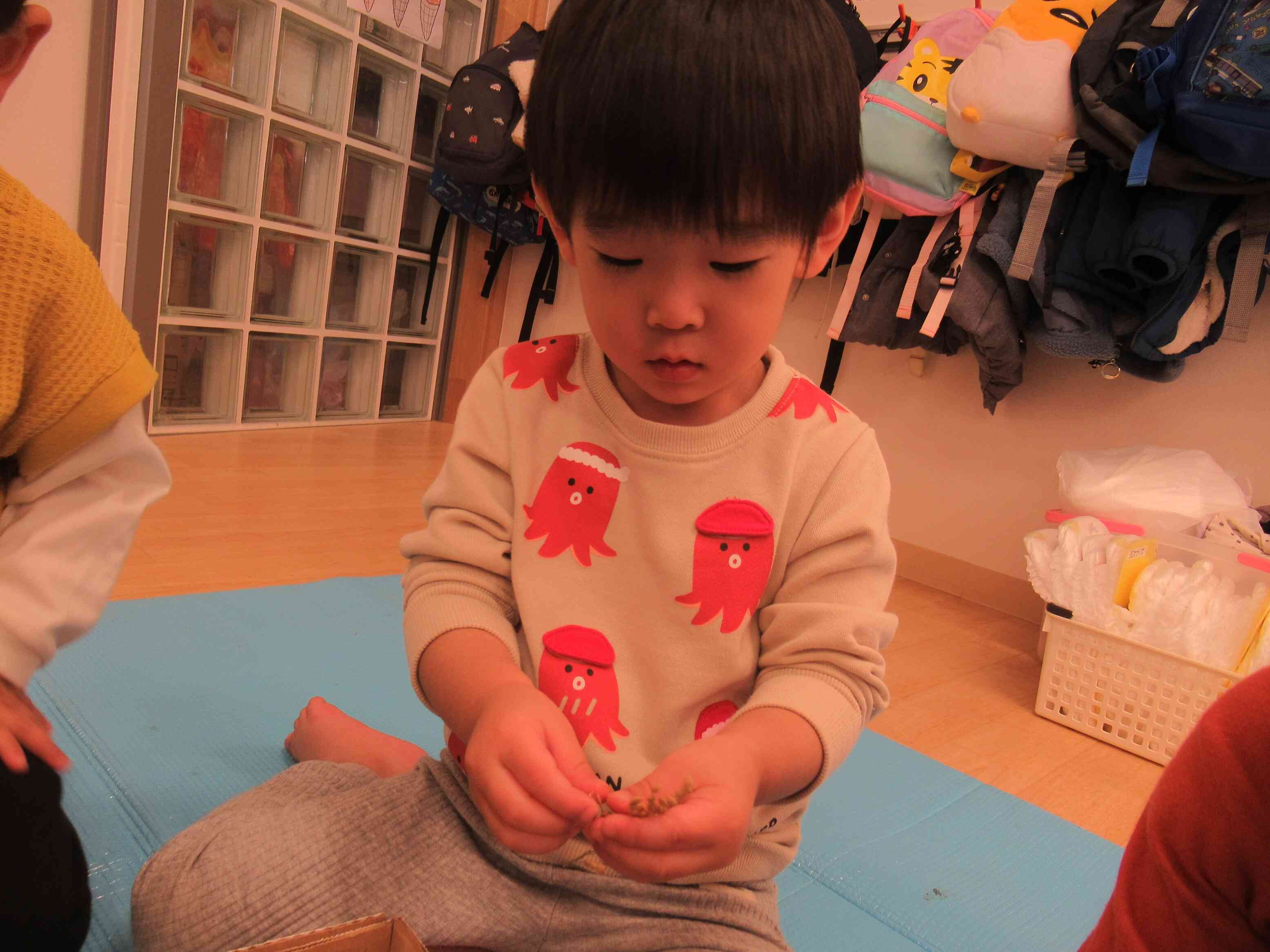 これがご飯になるの？