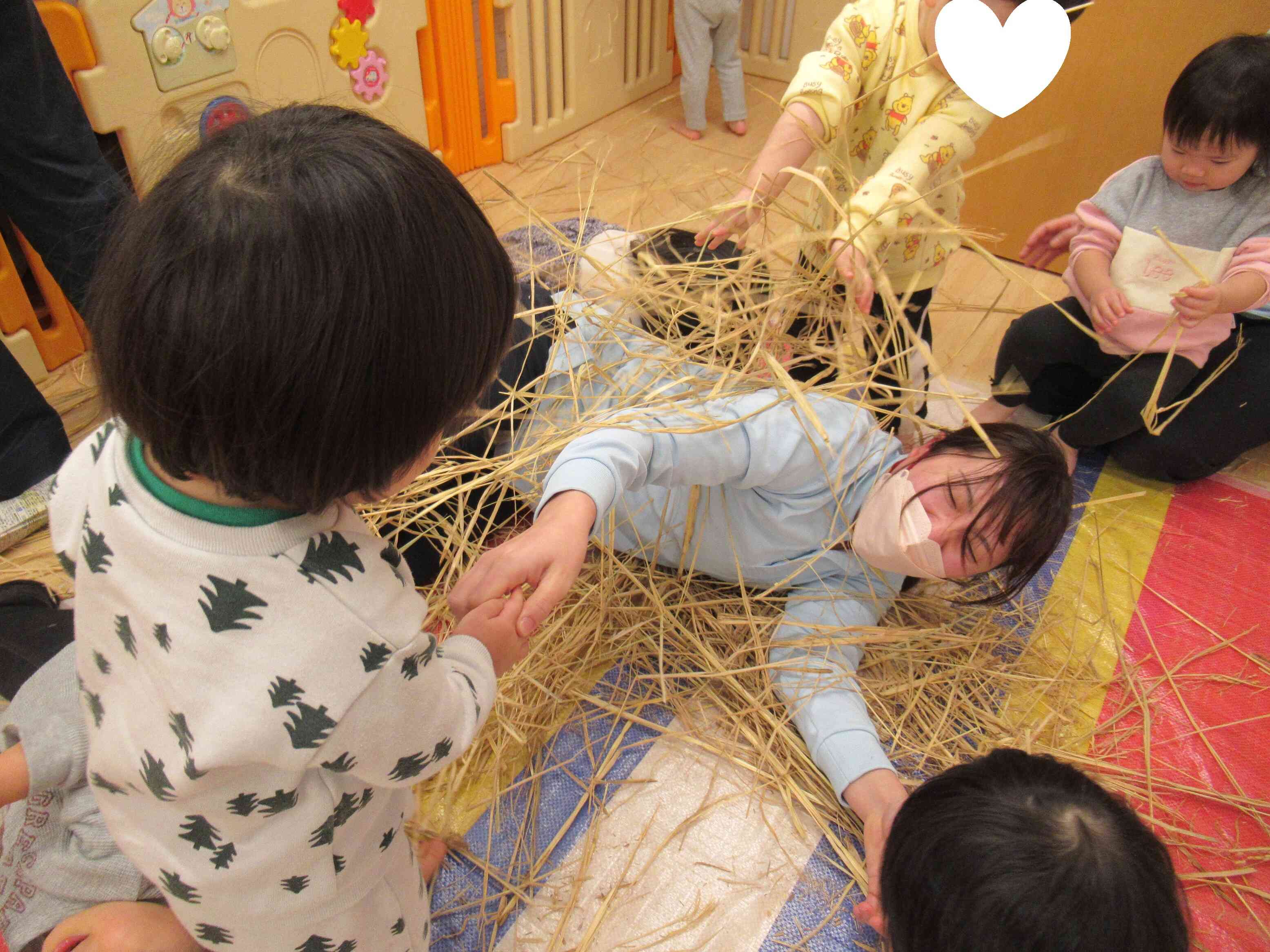 先生をうめちゃおう！