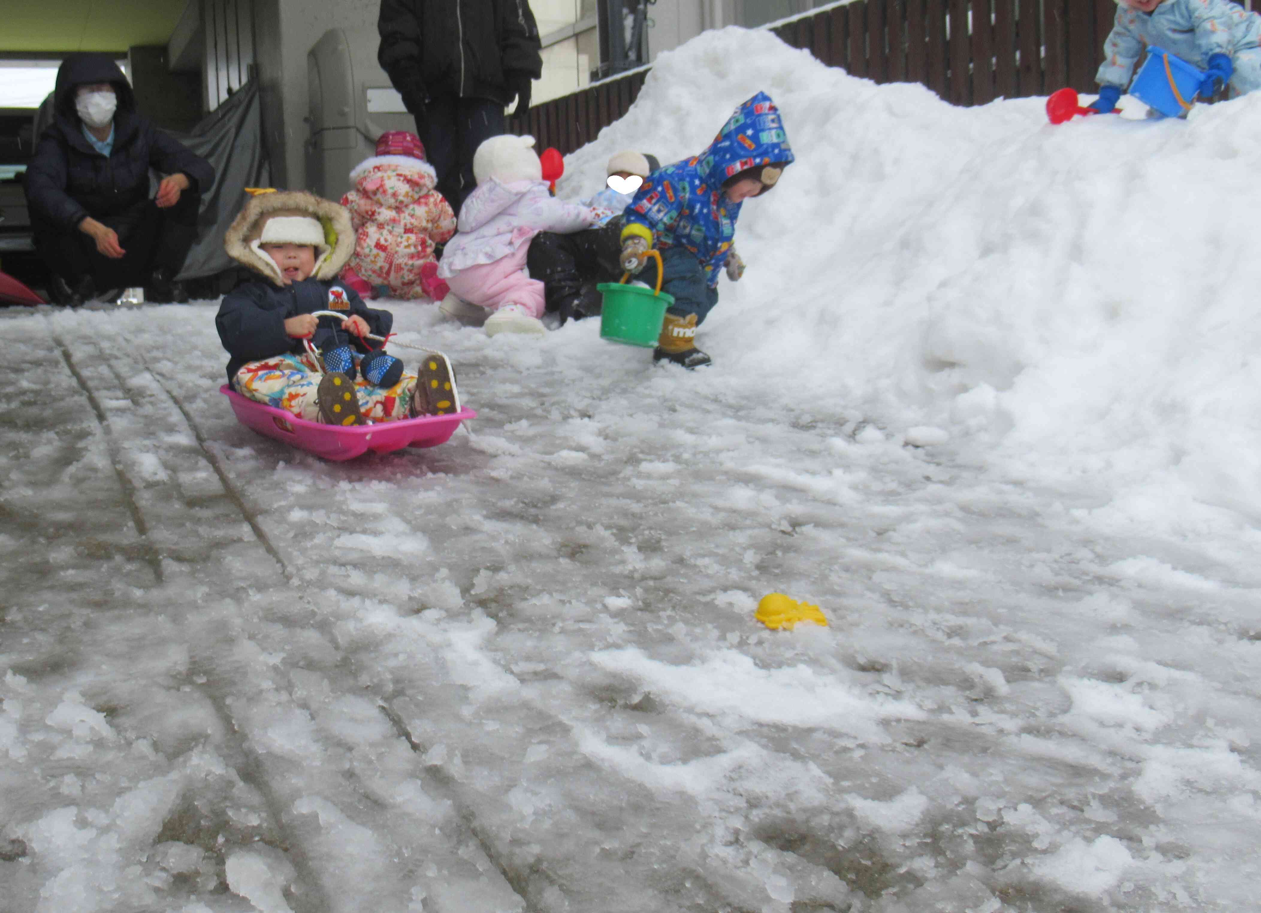 そり遊びに夢中です。