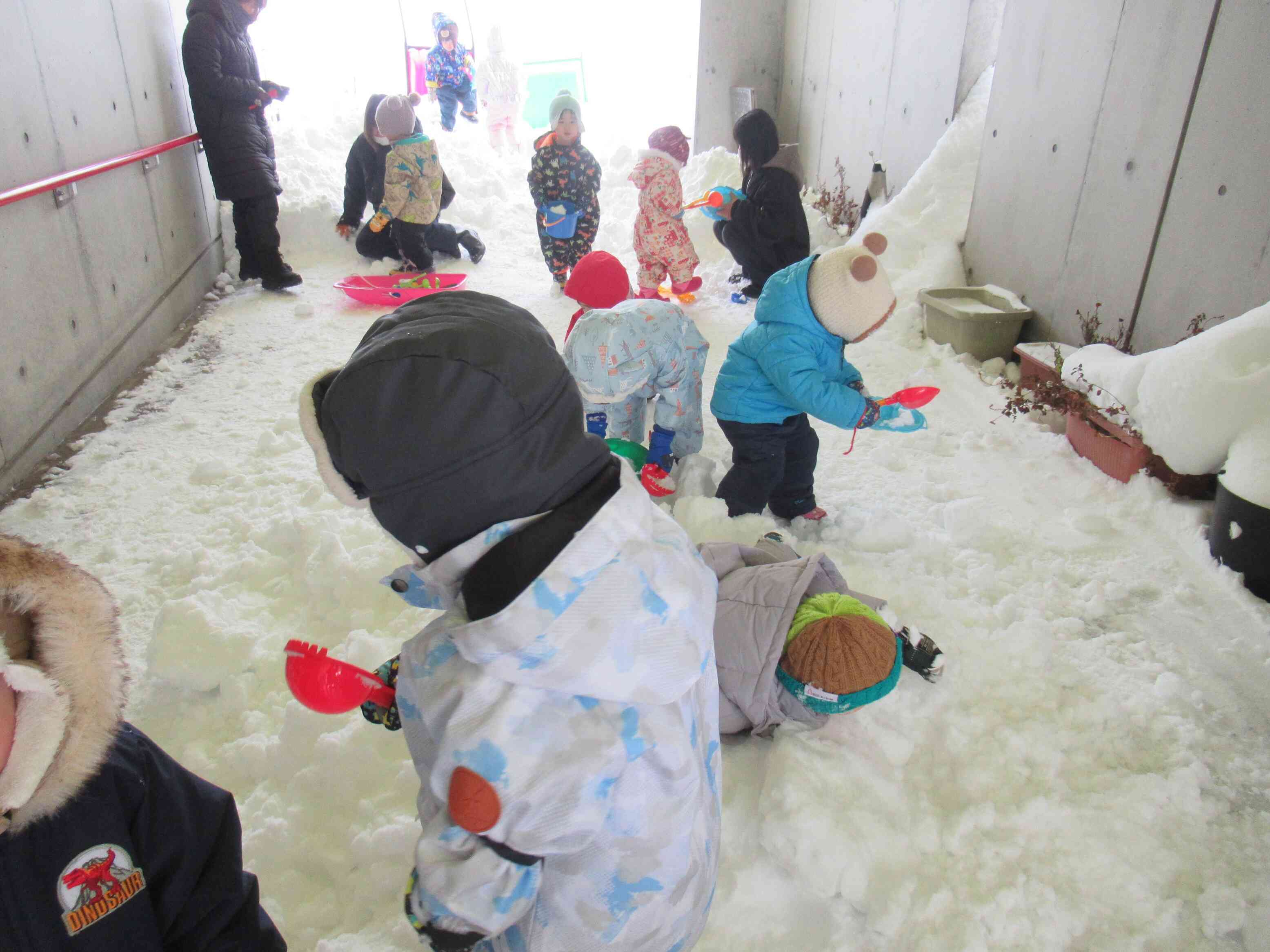 今日はちょっとだけ晴れたよ！