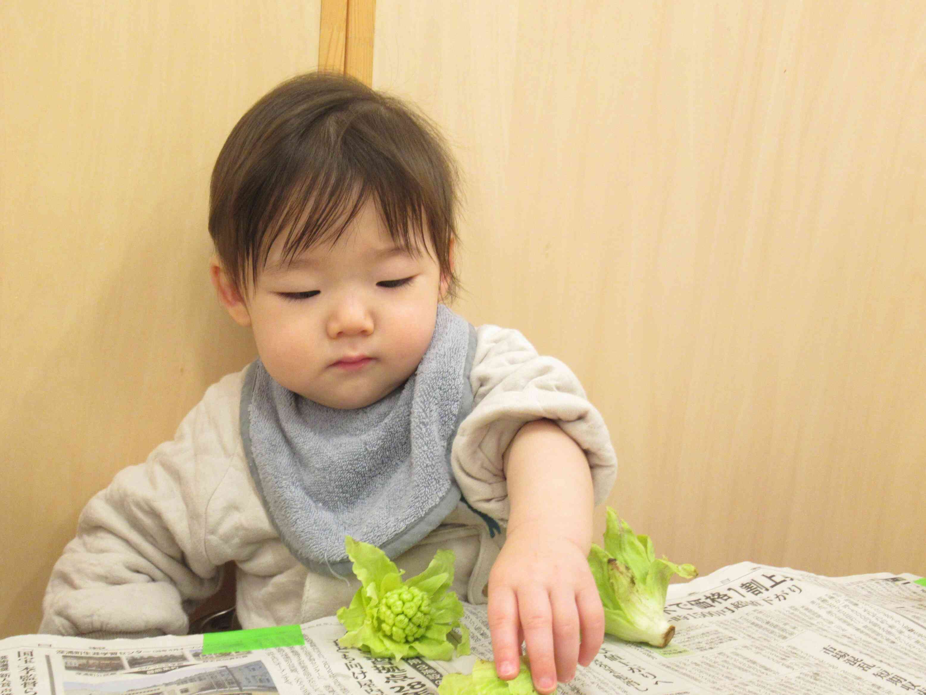 ふきのとうって？