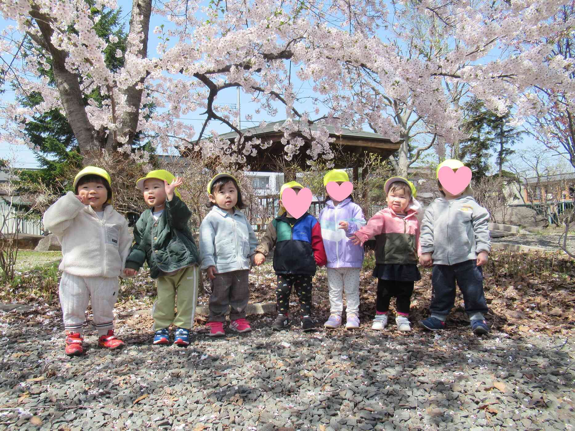 桜がさいた！