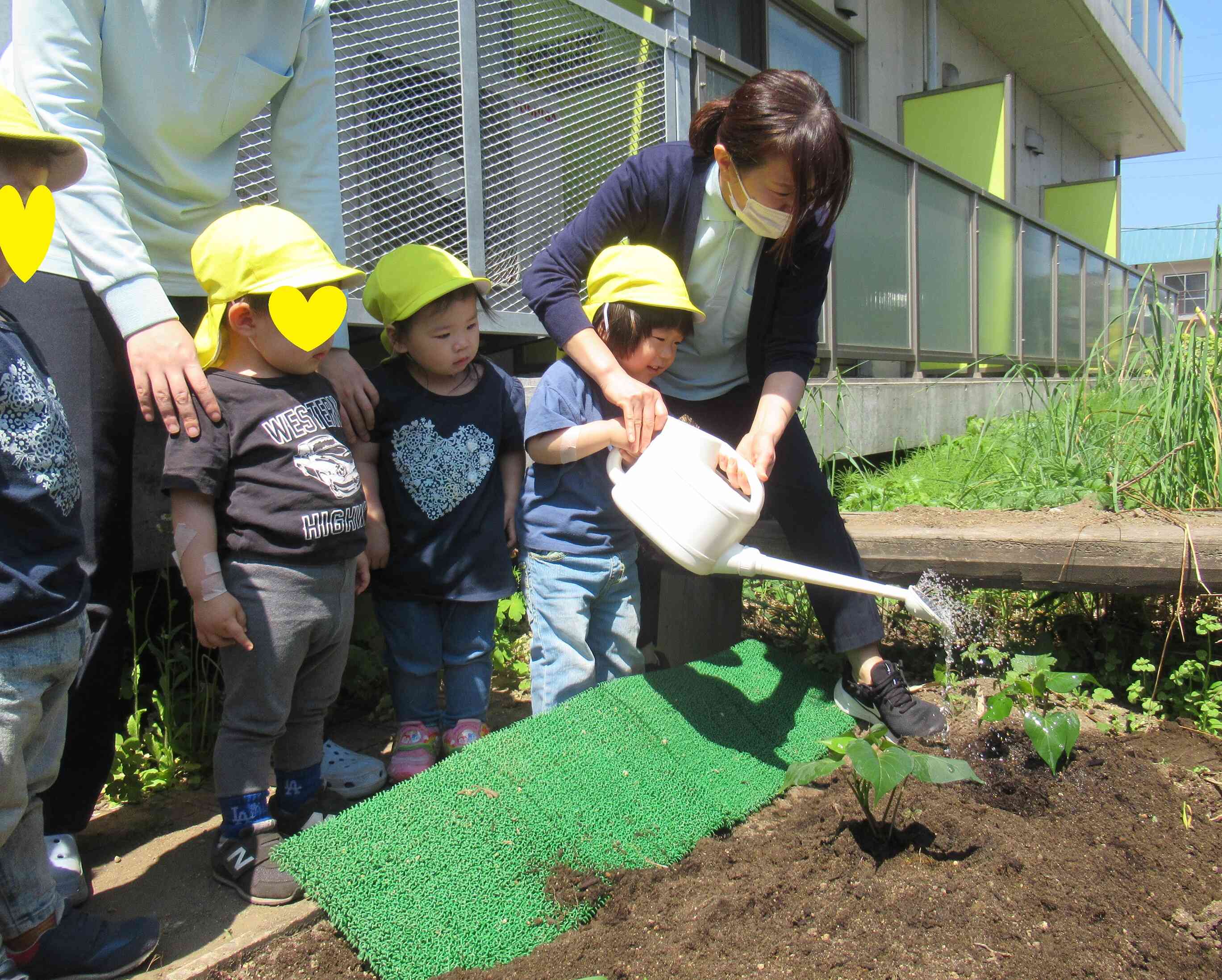 野菜を植えよう！