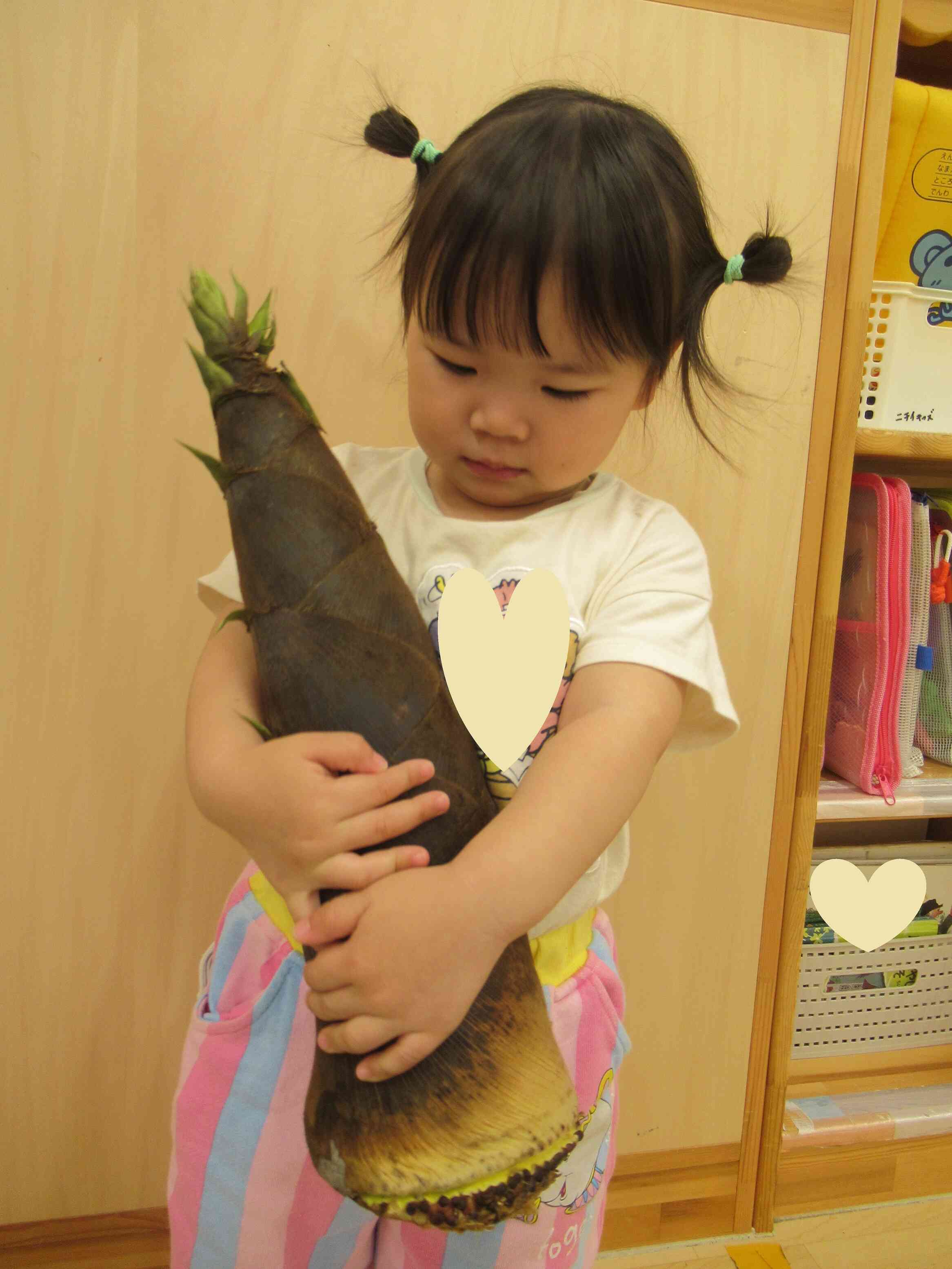 大きい！