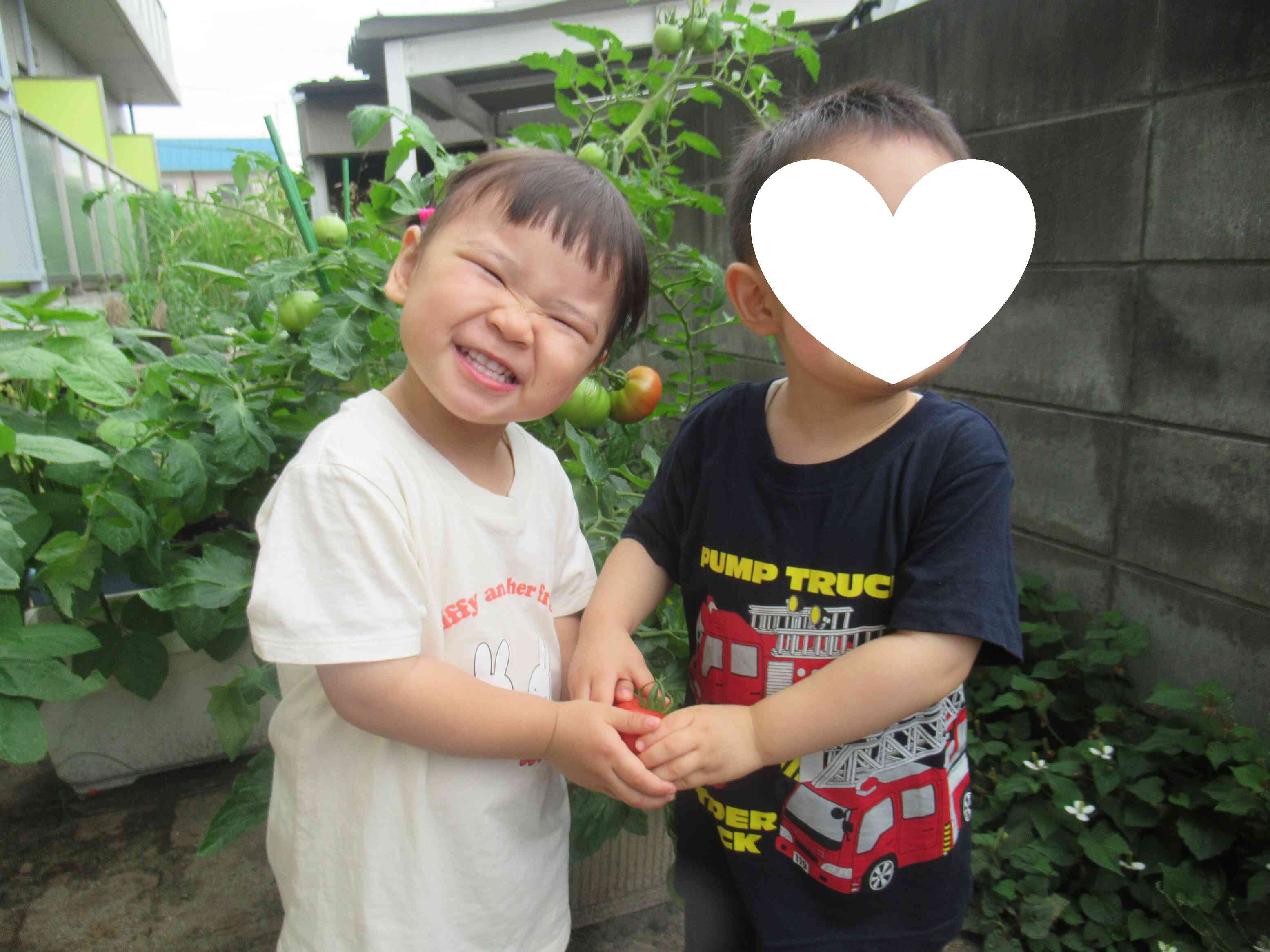 おいしそう！