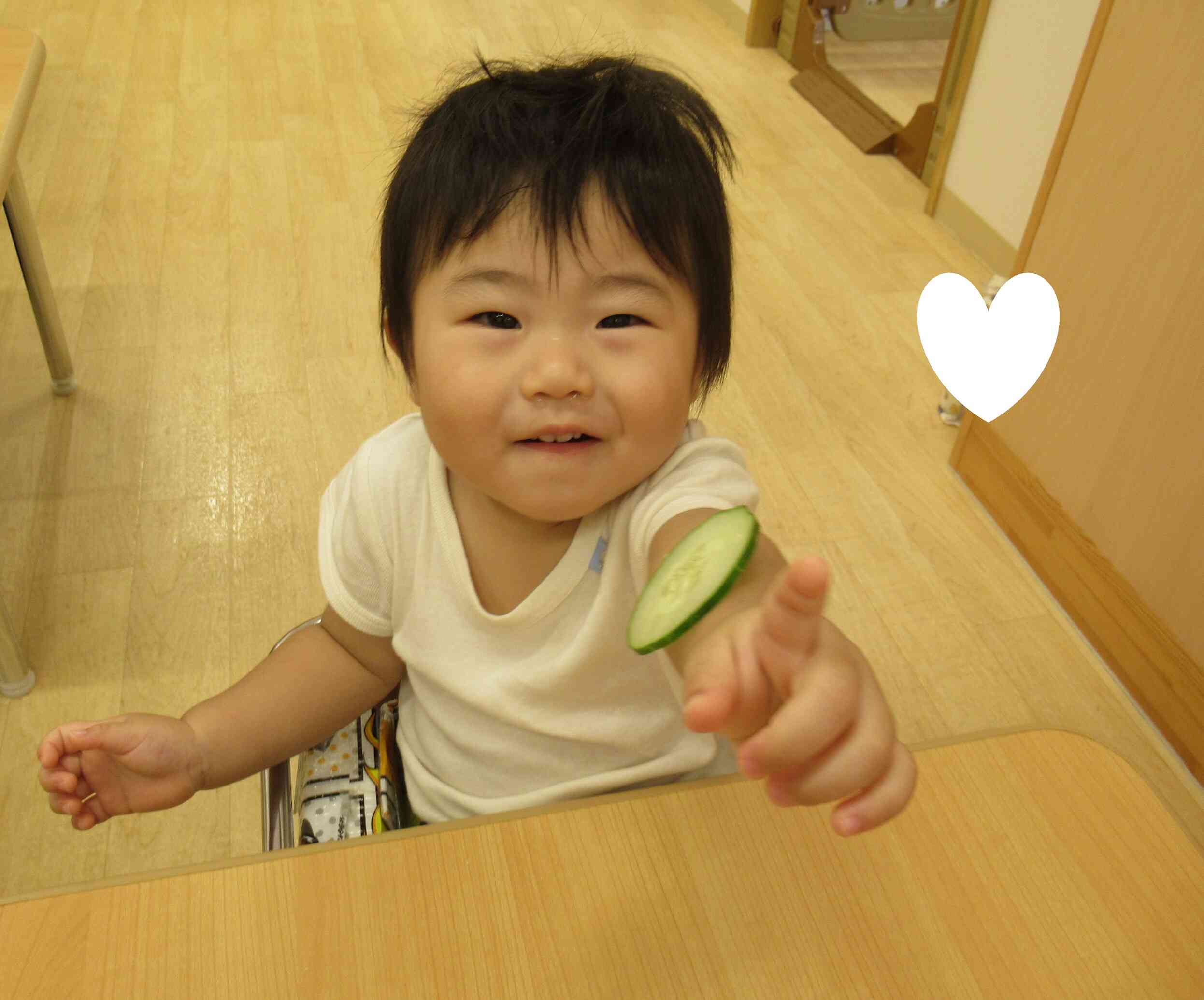 食育「きゅうり」