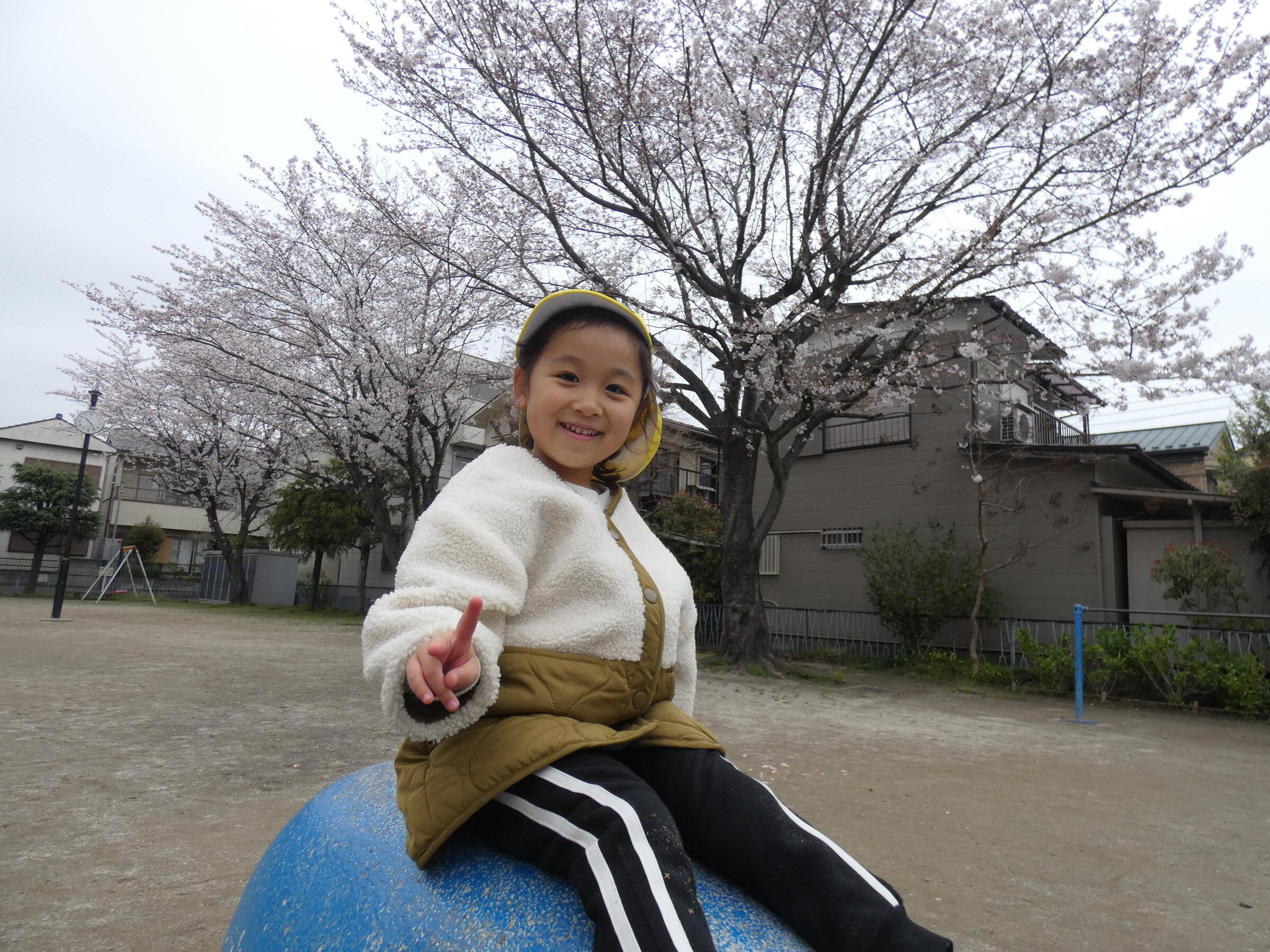 桜見てきたよ！