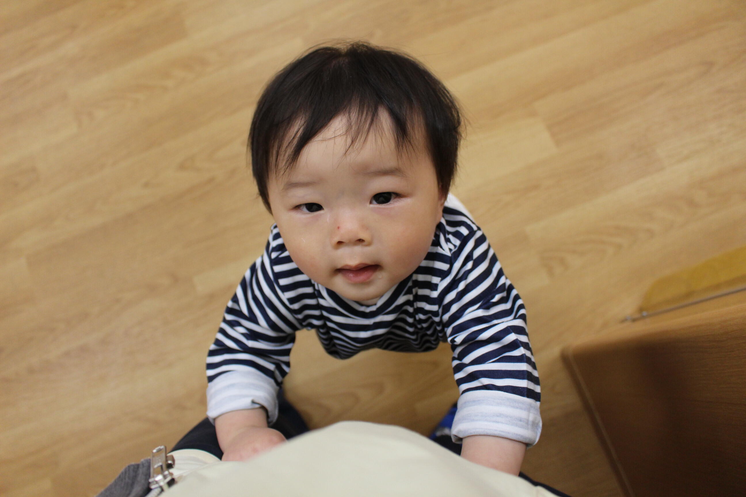 仲良しひよこサンドイッチ♡ジュースset 382e6fa4-ea8f-499d-99a7-