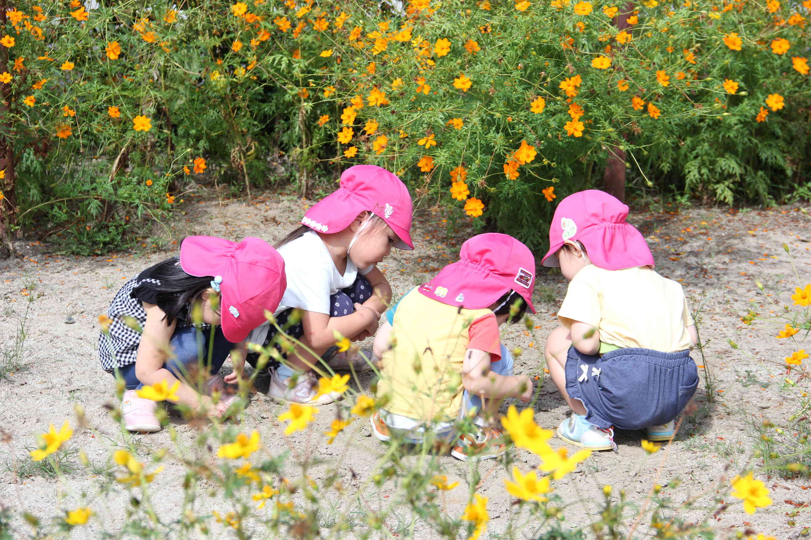お散歩楽しいな♡～うさぎ組～