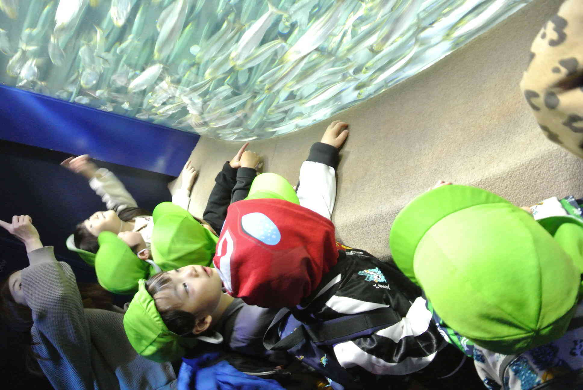 魚さんグルグルまわってるよ~