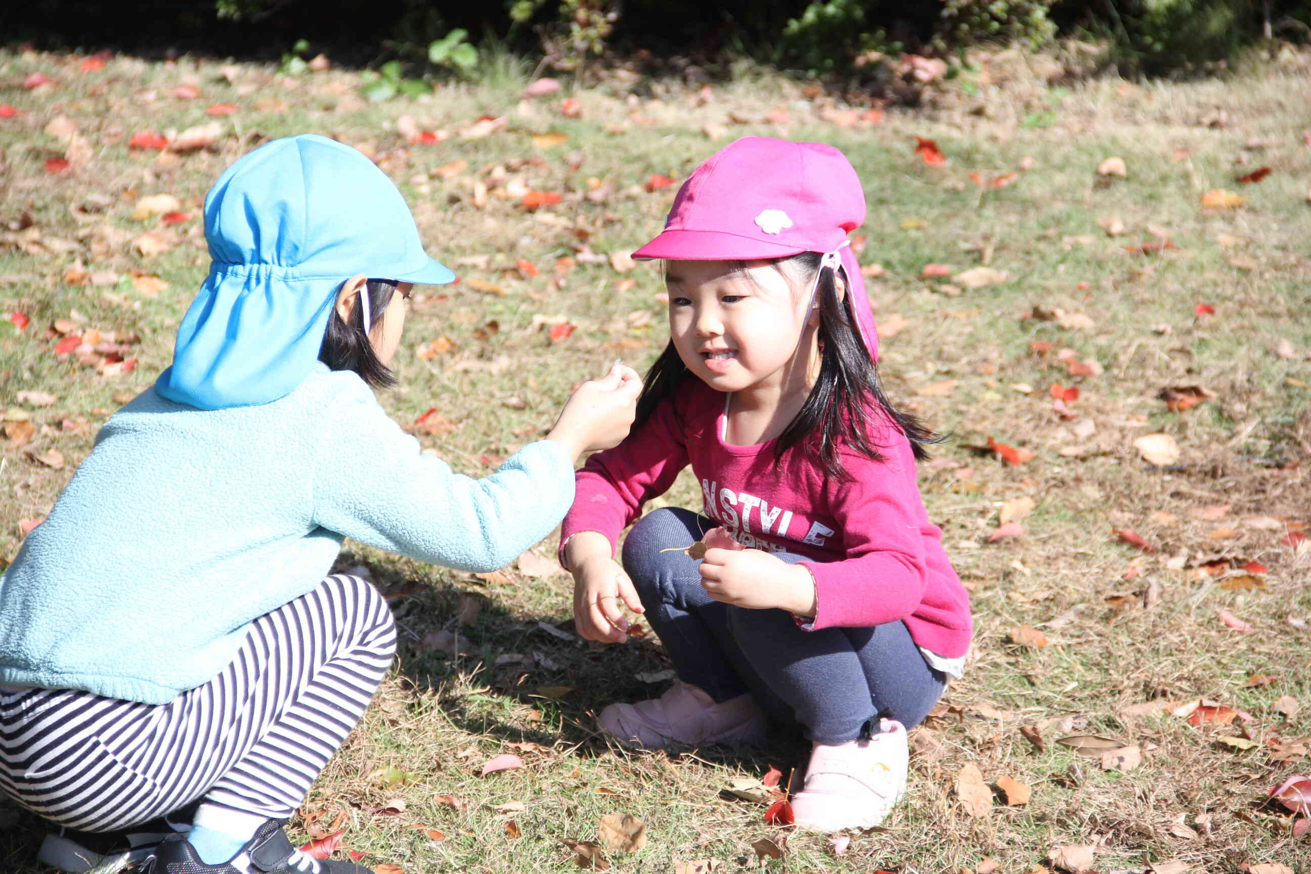 どんなお話しをしているのかな？？