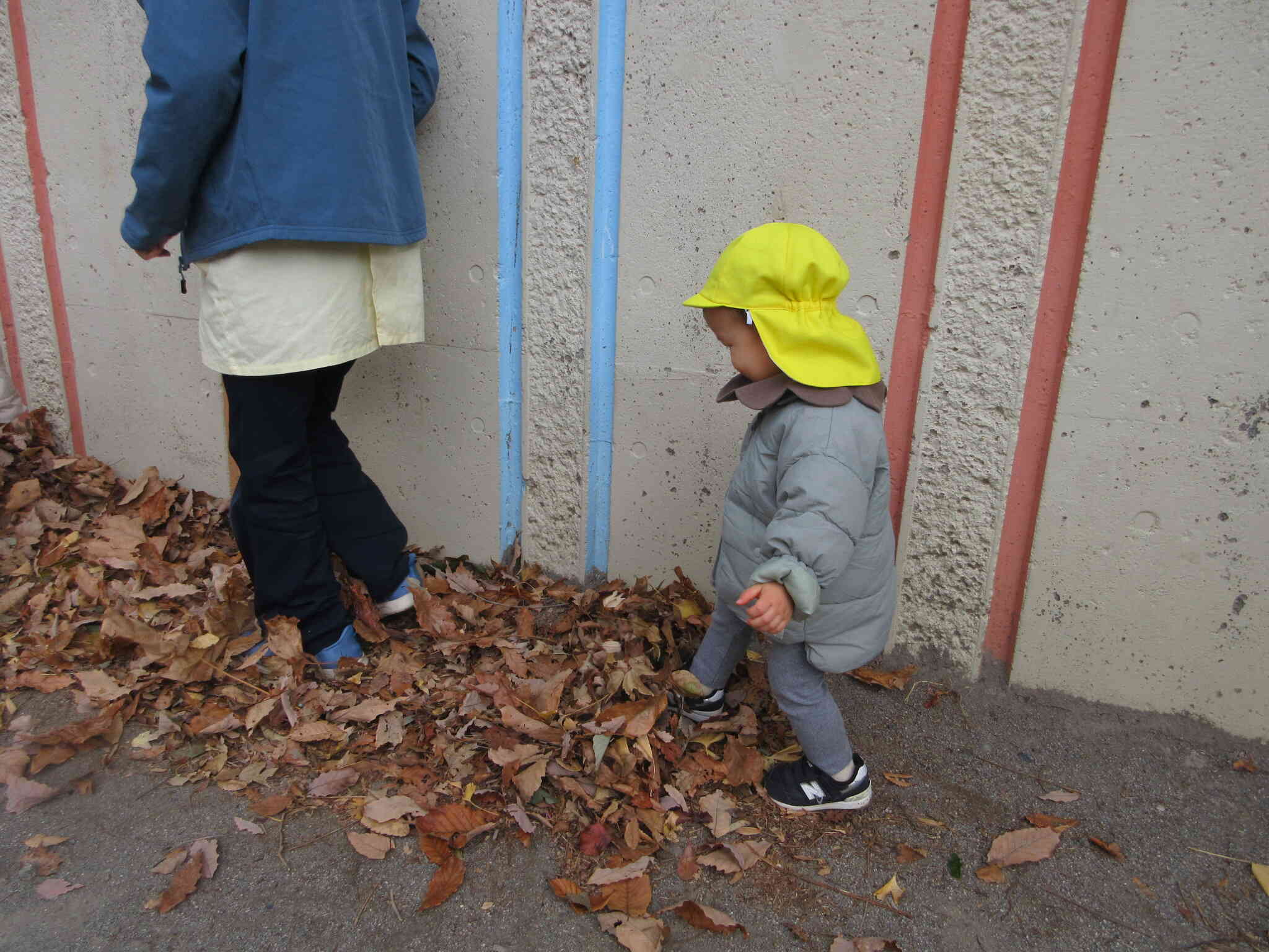 お散歩の様子～あひる組～