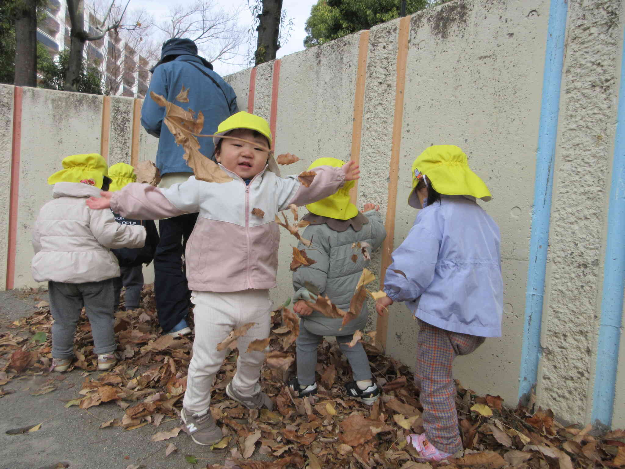 落ち葉、パラパラ～！