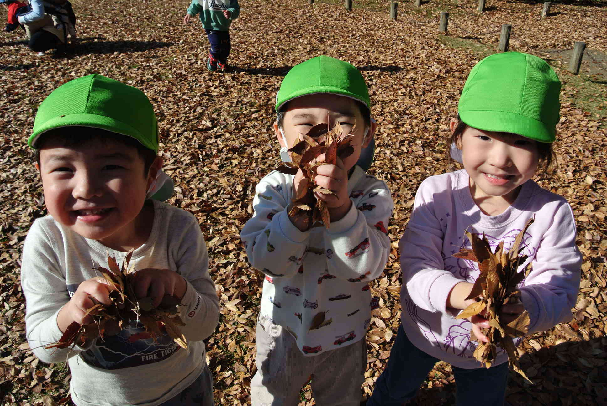 落ち葉みっけ!!