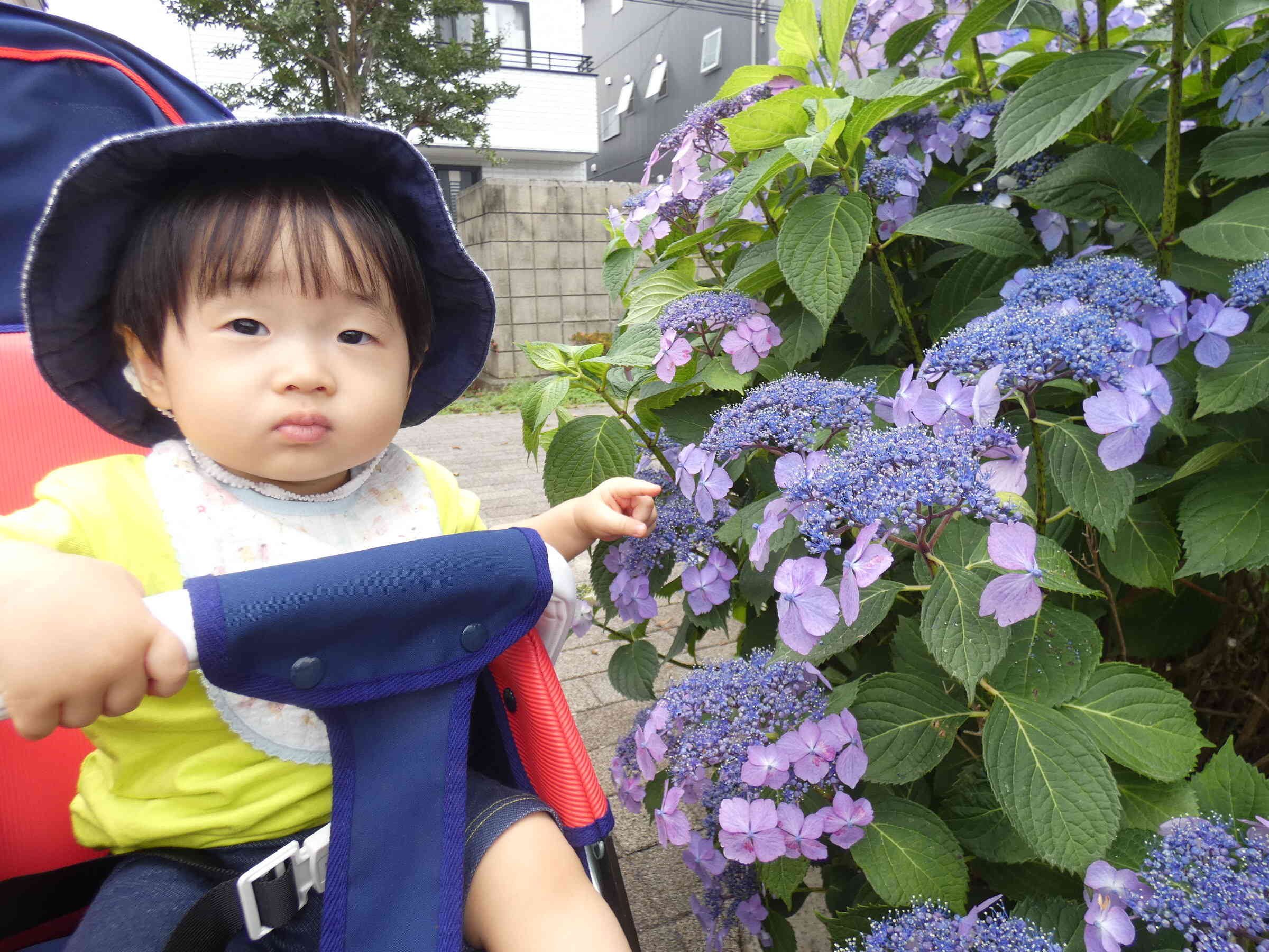お散歩に行ったよ～０歳児ひよこ組～