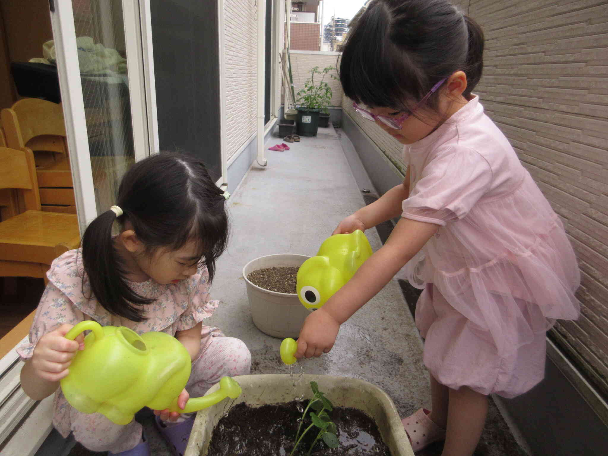 オクラの苗植え～4歳児・ぱんだ組～｜ニチイキッズわらび保育園