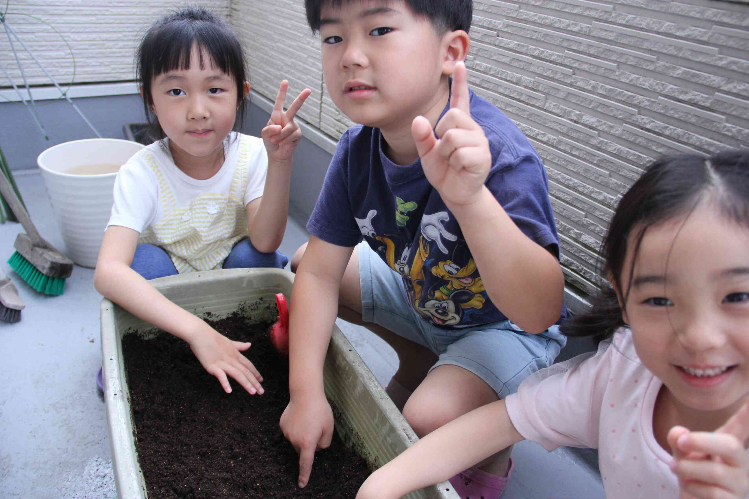 トマト・ひまわり！大きくなーれ！～５歳児・きりん組～