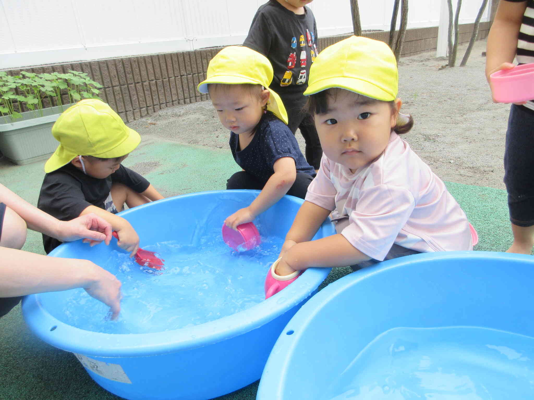 水遊び～2歳児 うさぎ組～