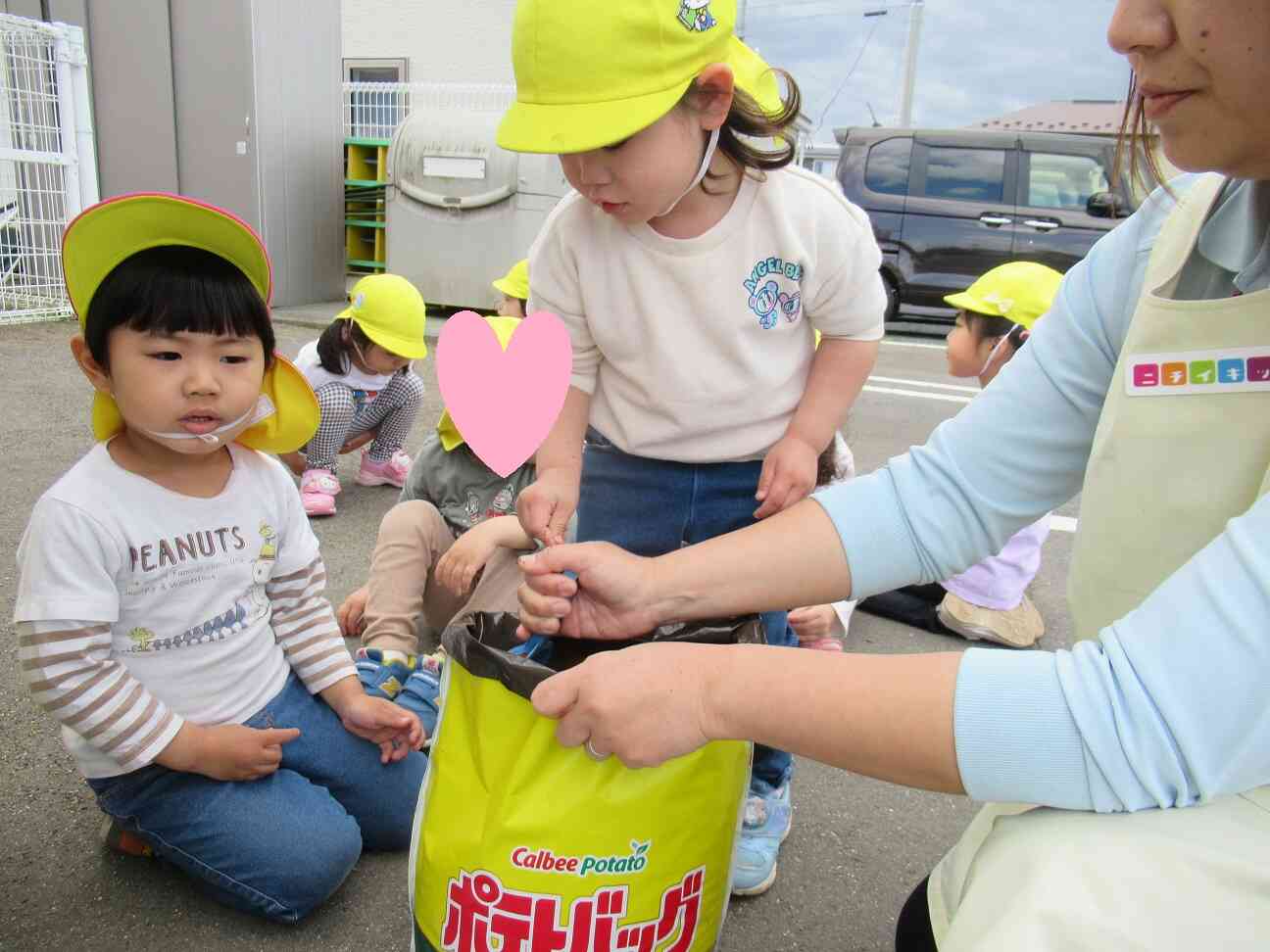 たのしいね。