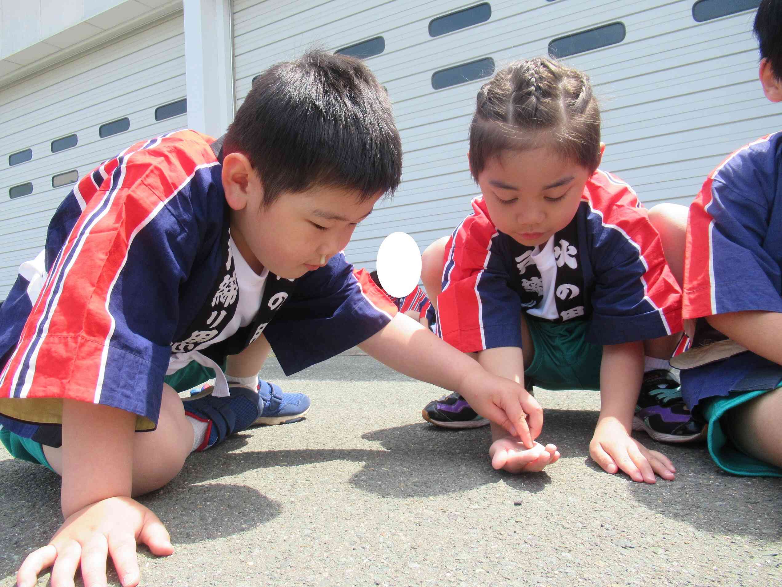 休憩中は虫観察していました