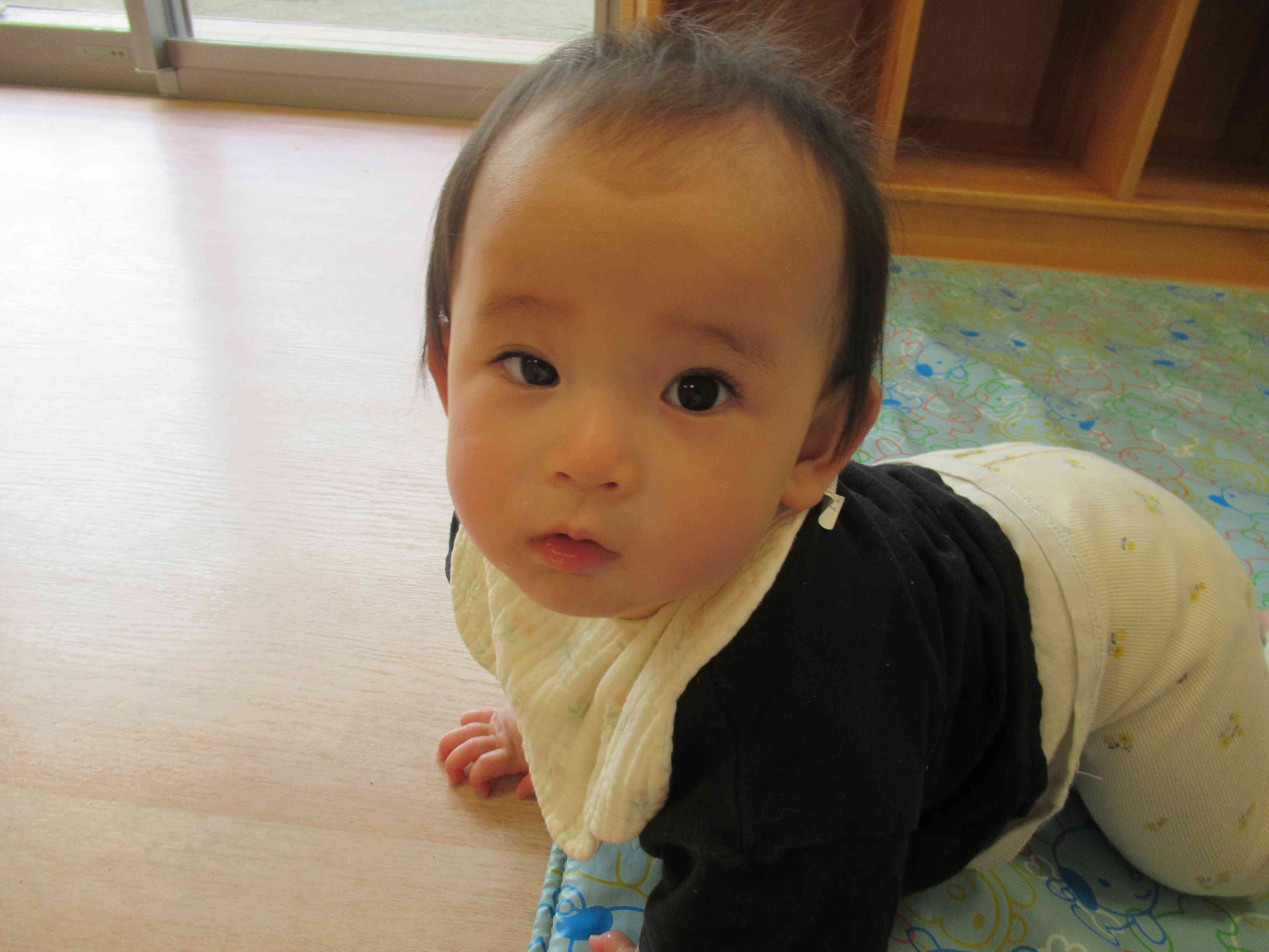 今からお散歩に行くの！
