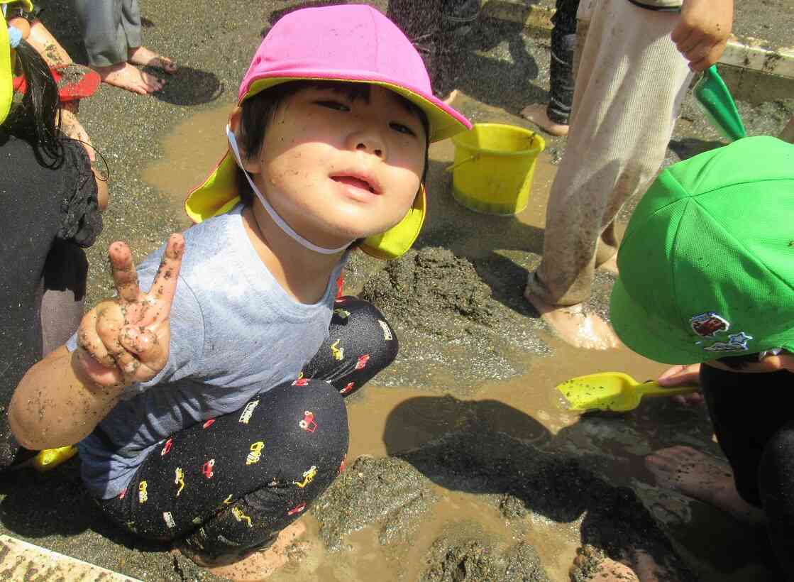 やっほー。