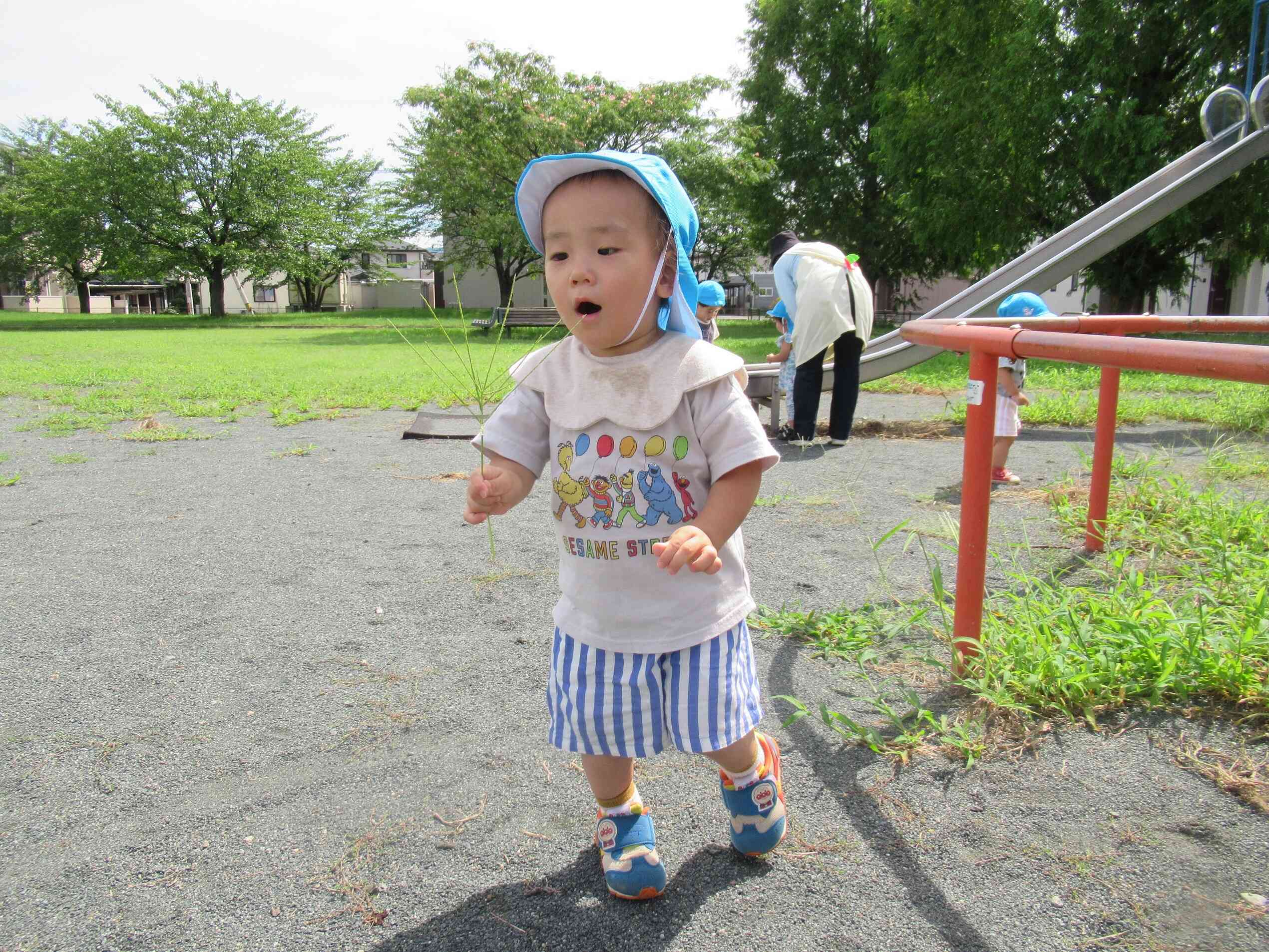 「おおきいはっぱだな～！」