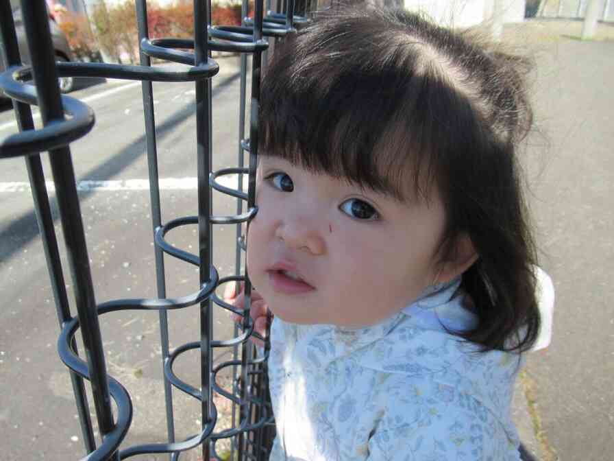 今度はフェンスの間から…何が見えるかな？