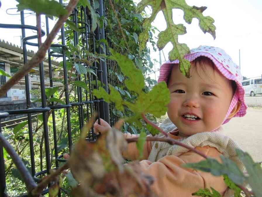 秋のお散歩、気持ちいいね（ひよこ組）