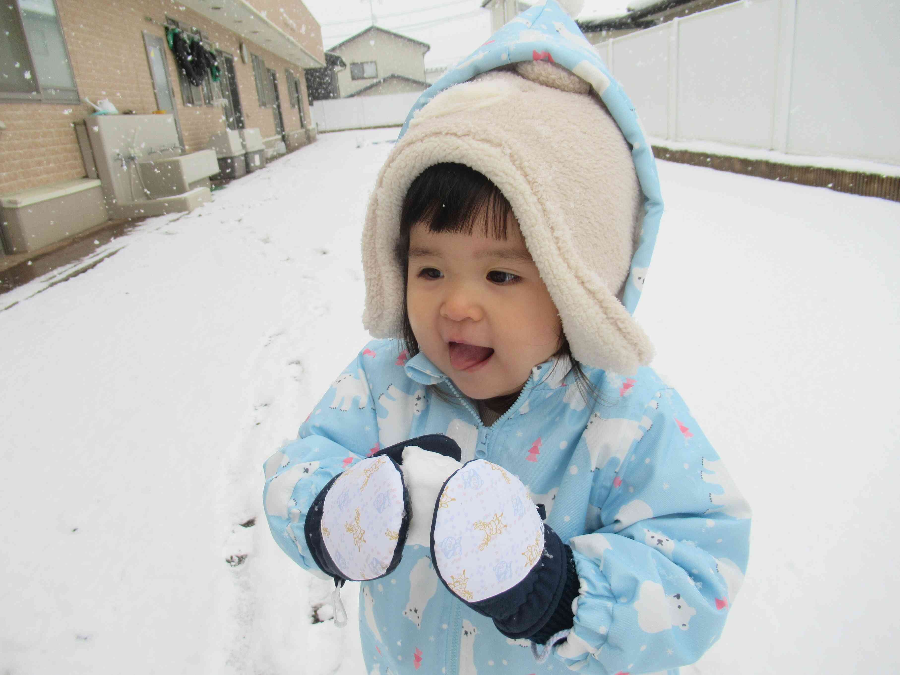 まあるい雪玉みーっけ！