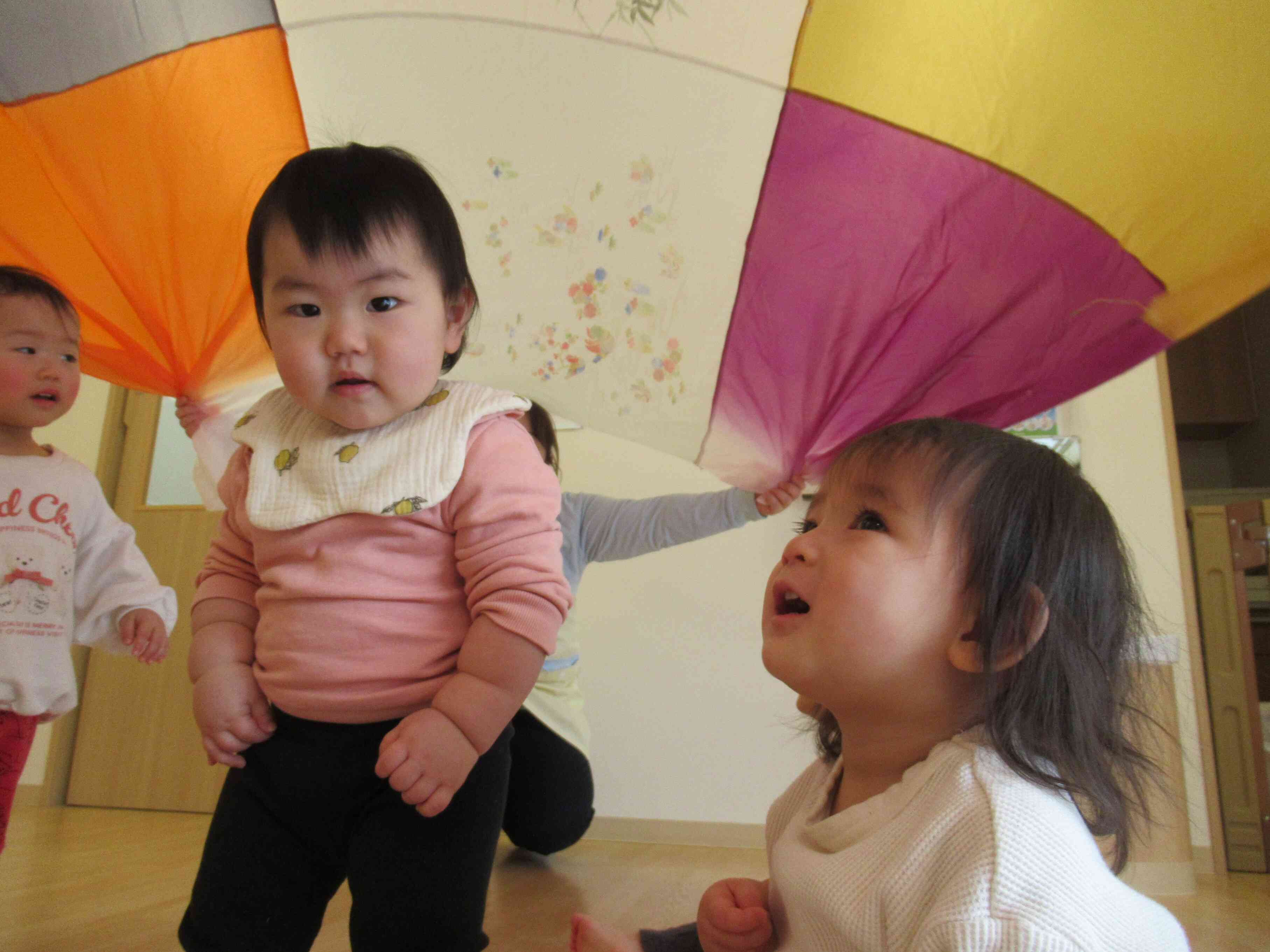 ふわふわ風呂敷、綺麗だね