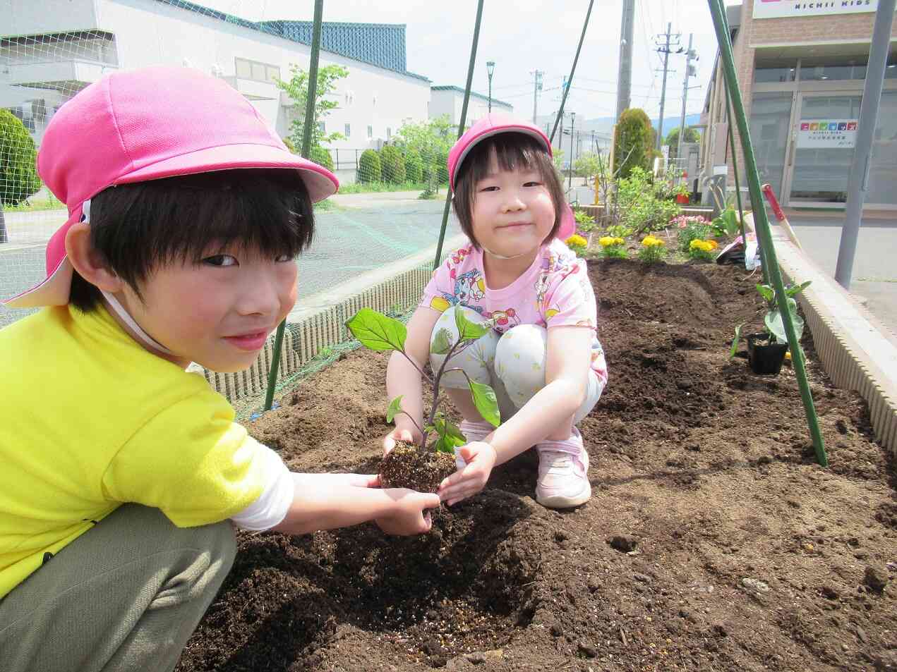 野菜の苗植えしたよ　きりん組