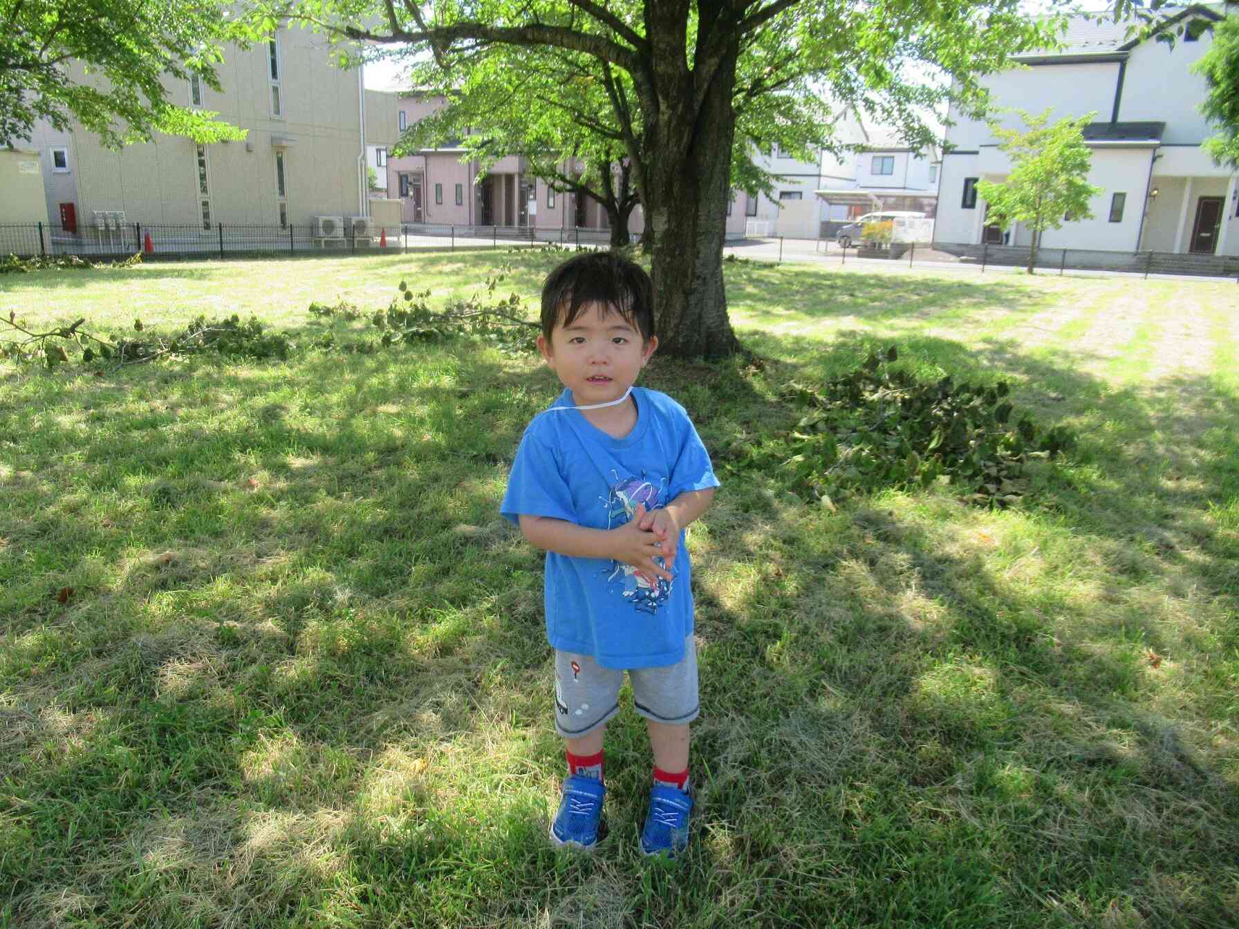 ここ涼しい～